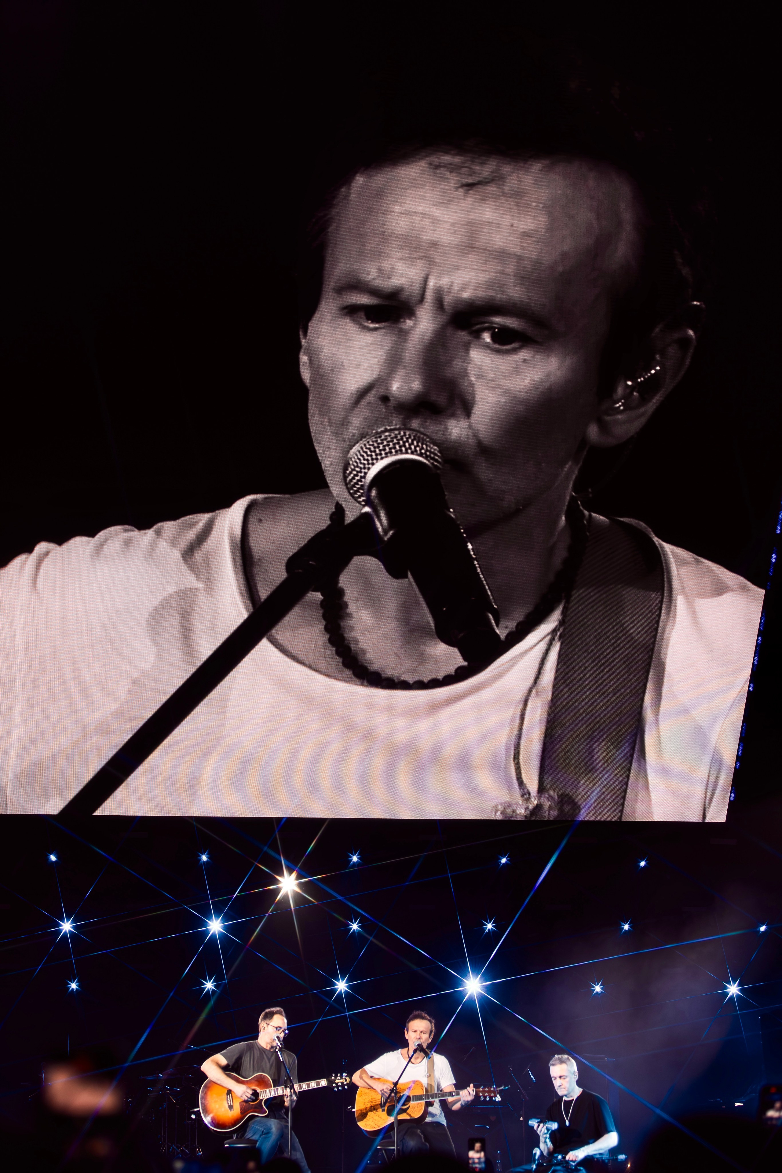 Океан Ельзи. Репортажний фотограф/анімаліст КИЇВ