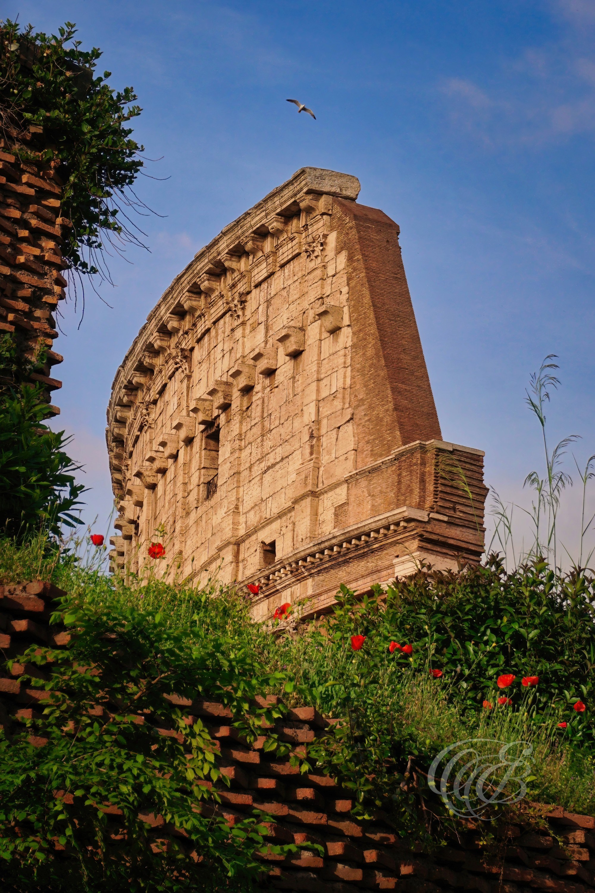ITALY PHOTOGRAPHY — Colosseum in Spring — The Colosseum rising above the historic heart of Rome, one of Italy's most enduring symbols of ancient architecture and history, Rome, Italy — Eduardo Bartoli Photography.