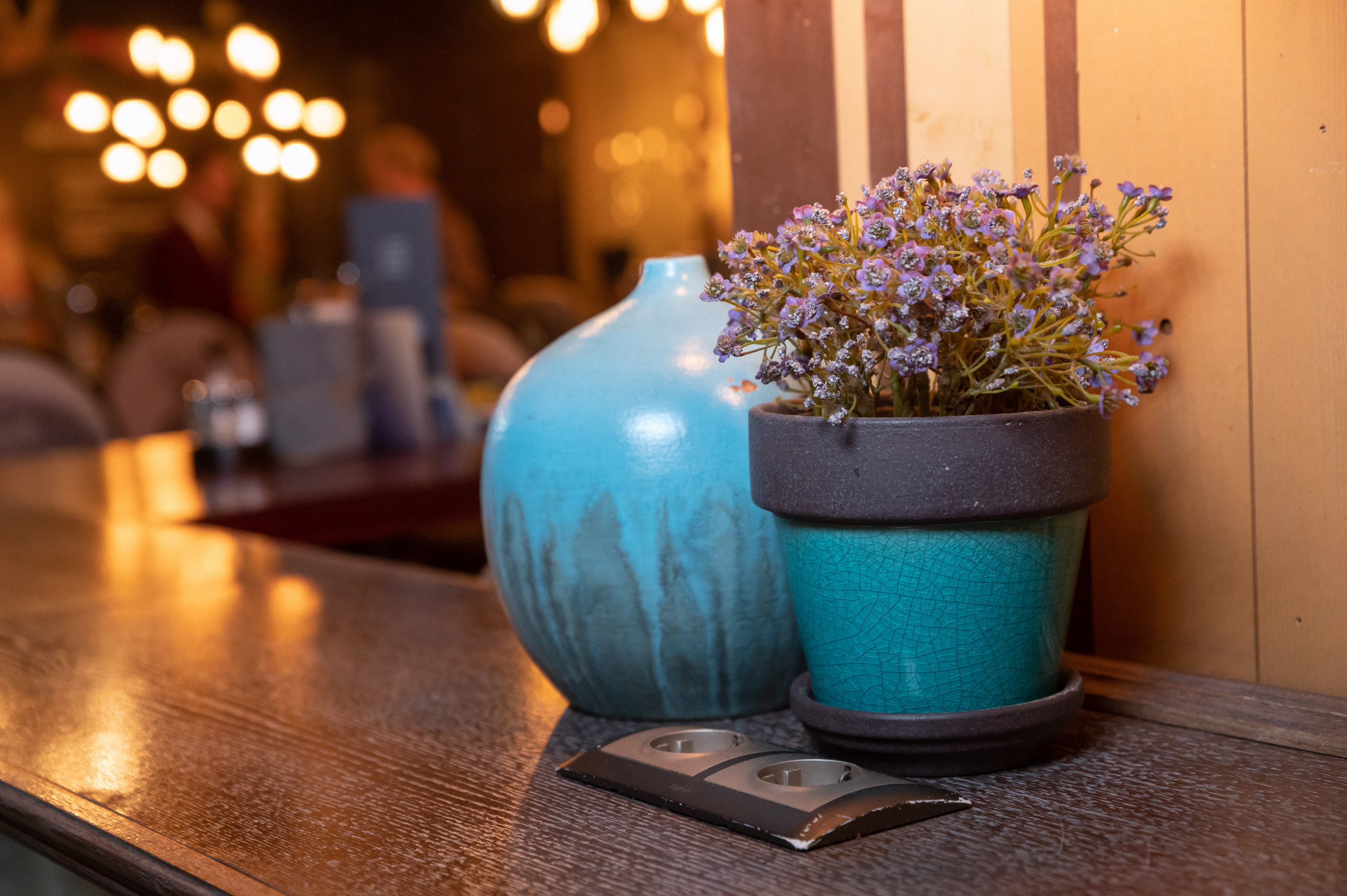 Travel Club Party. Alex Leonidov — Photographer