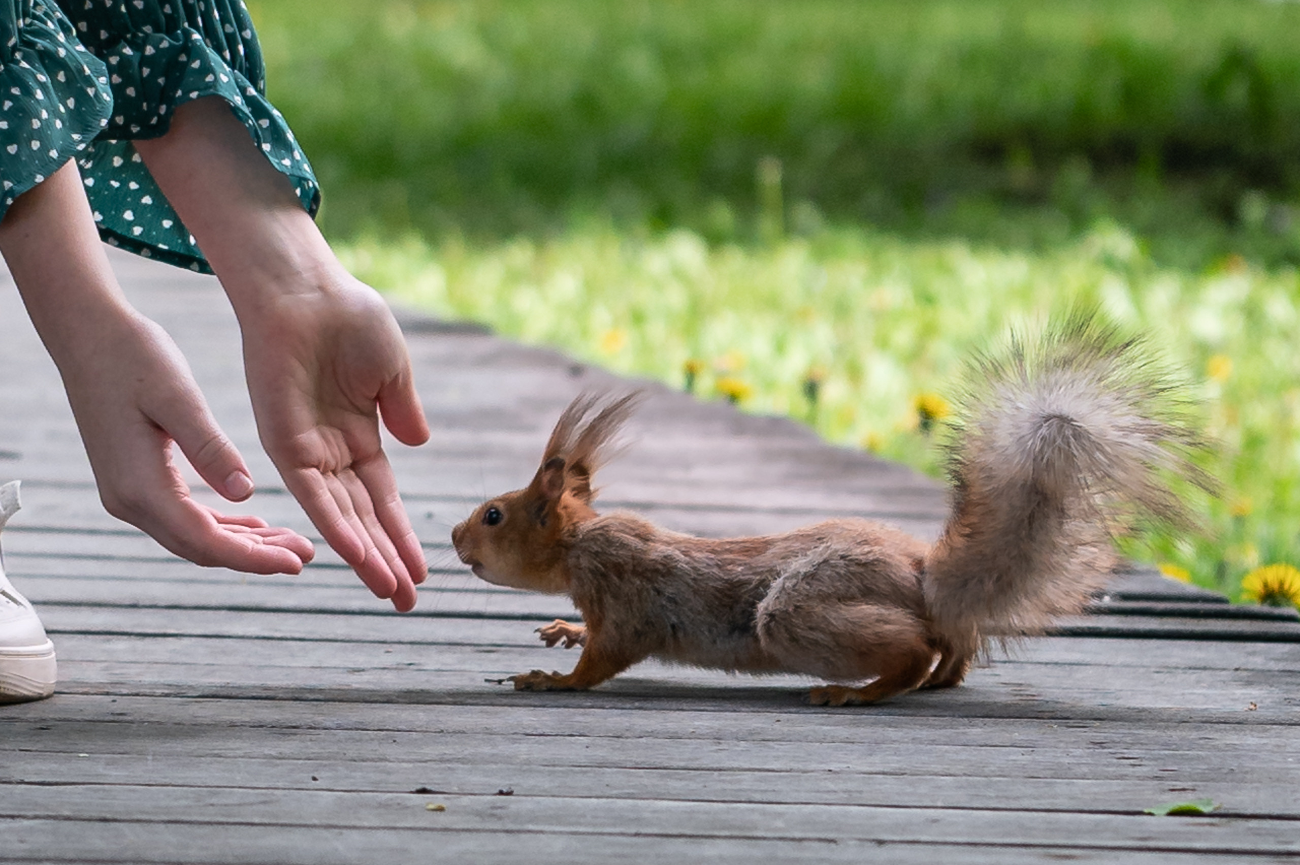 Nastya & Misha. Alex Leonidov — Photographer