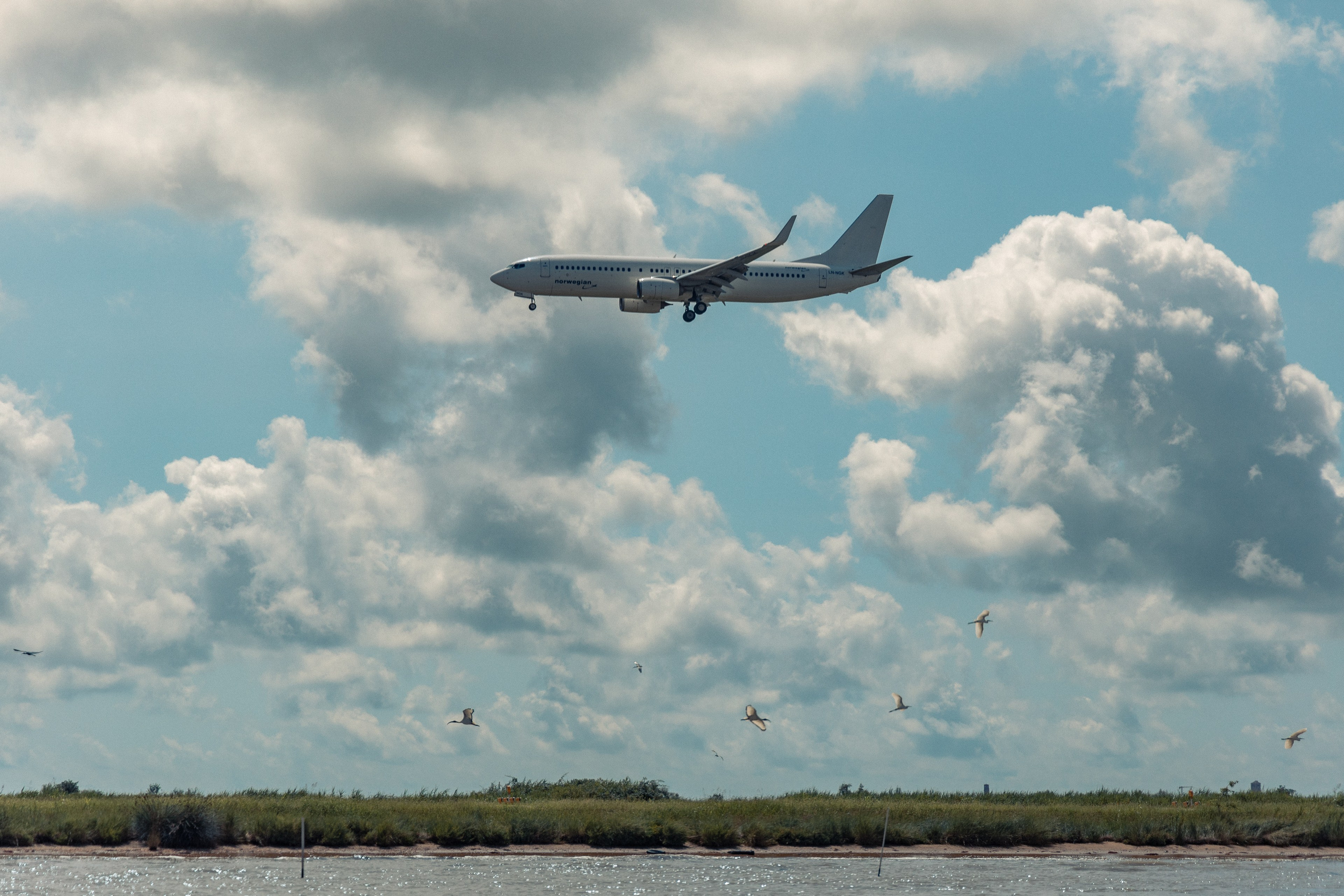 Street Photography. Portree- ja perefotograaf Anton Hansen Tallinnas, Eestis