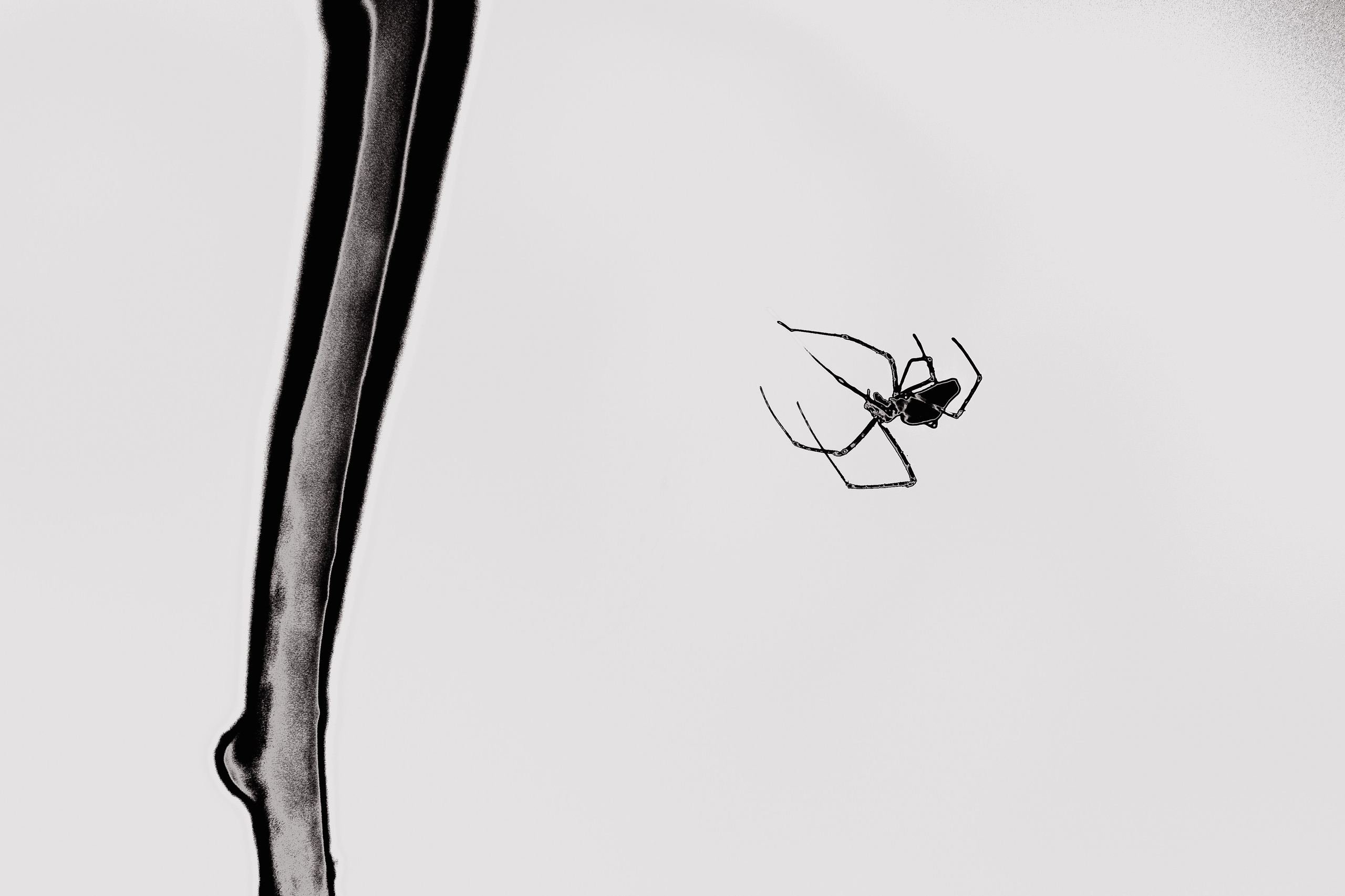 ART. Alexandru Raileanu