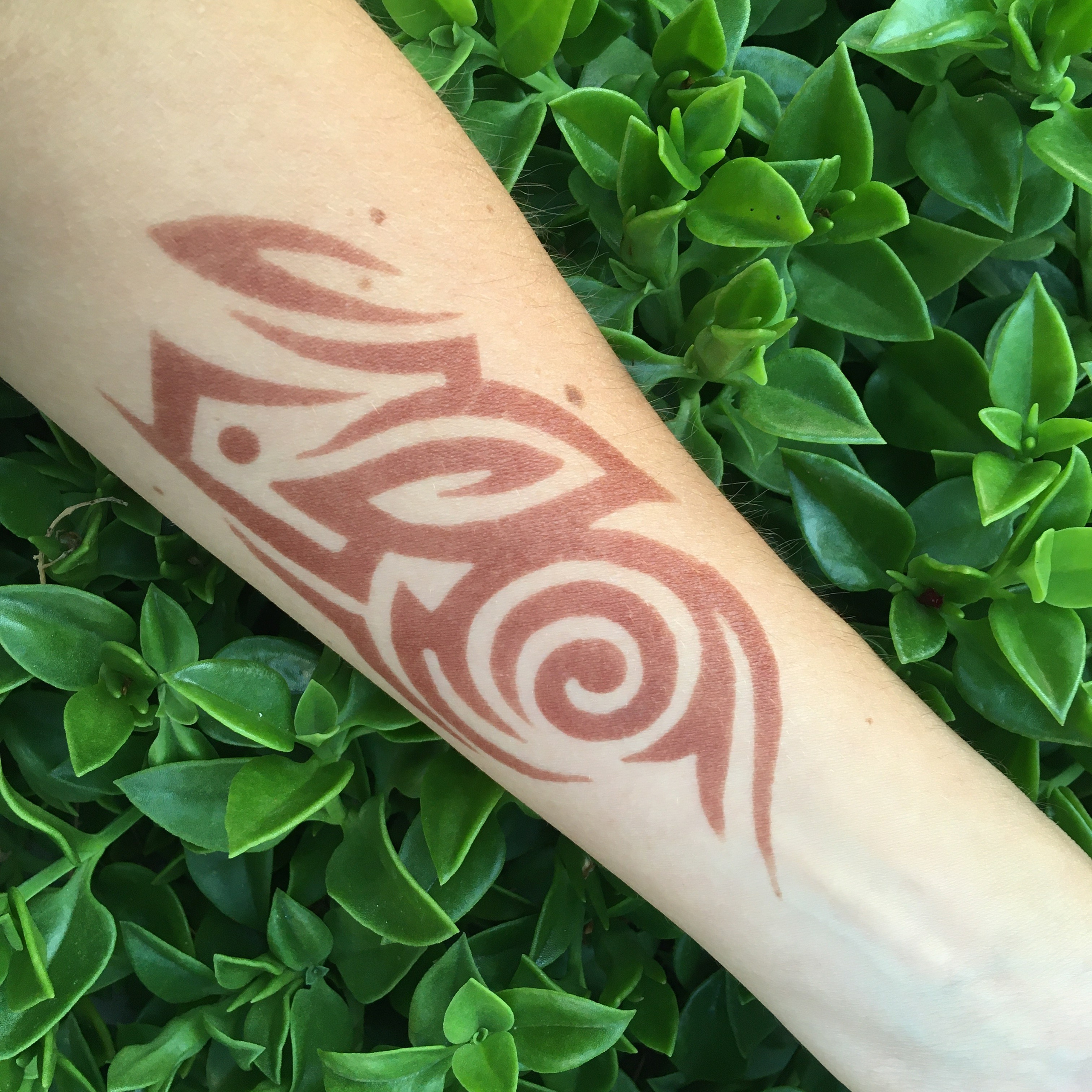 Kanapotrfolio. Numerologija. Nevrografika. Delavnice