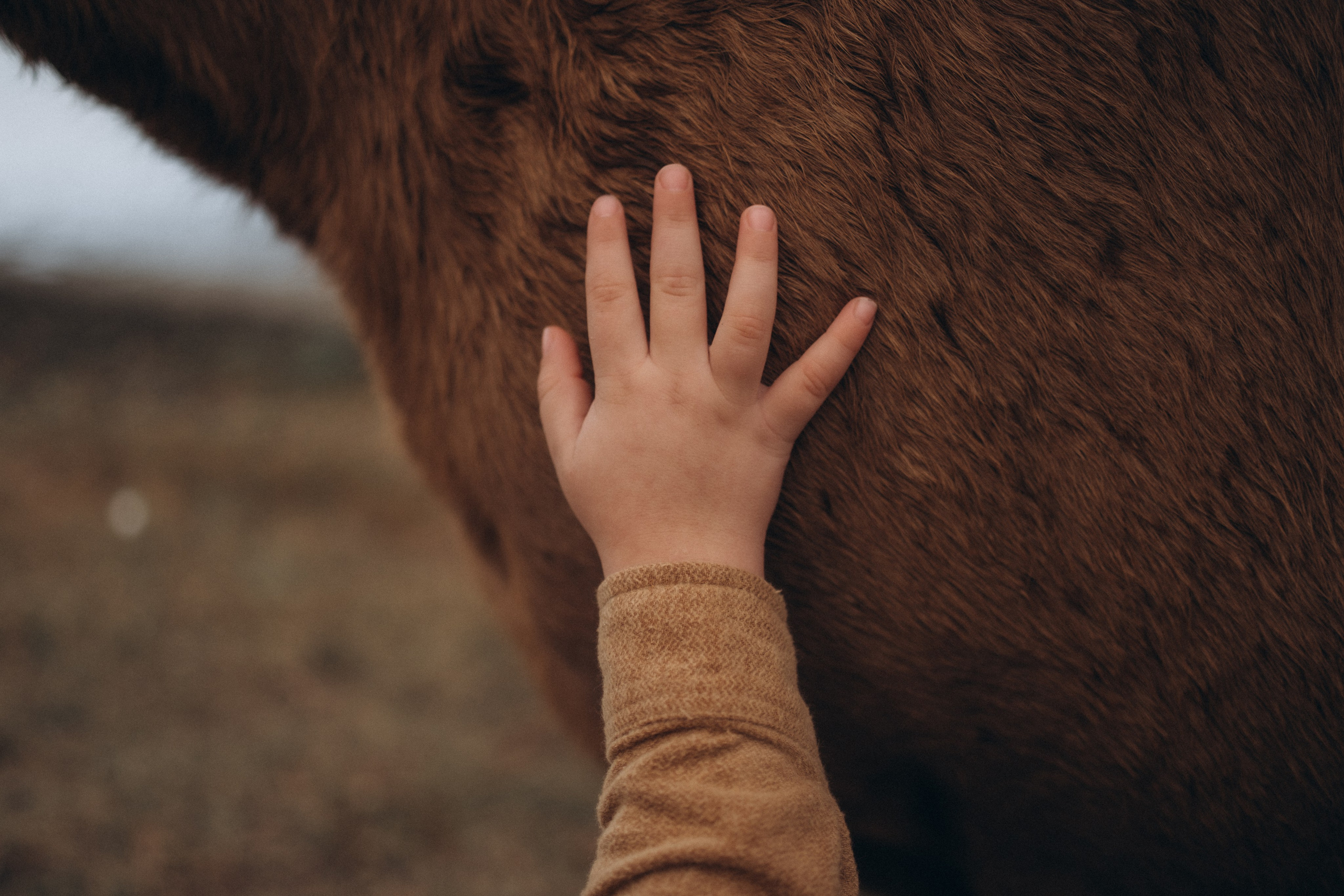 Rainy Day. Lens Captures Life
