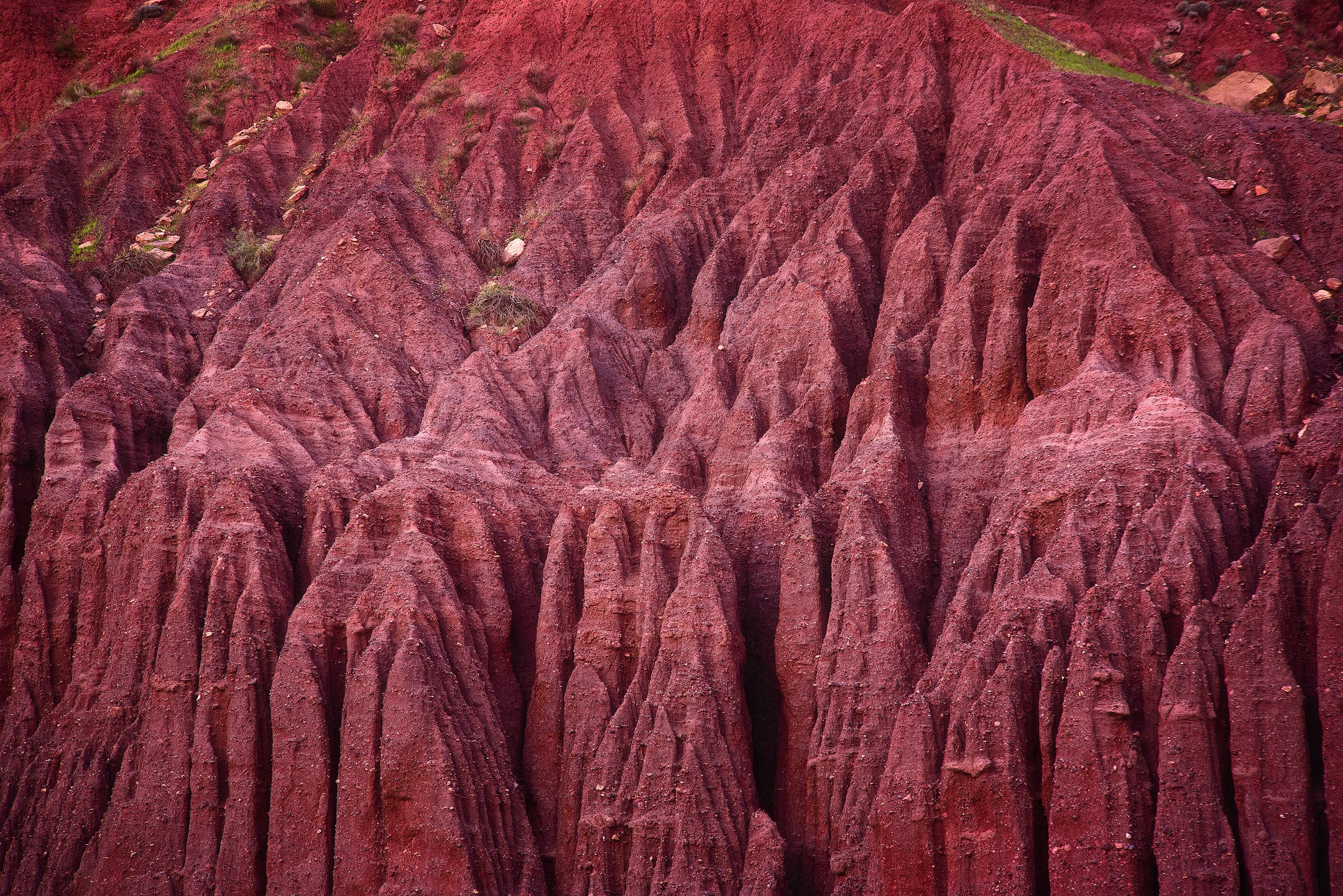 Amirhamzeh Mashayekhi Photographer