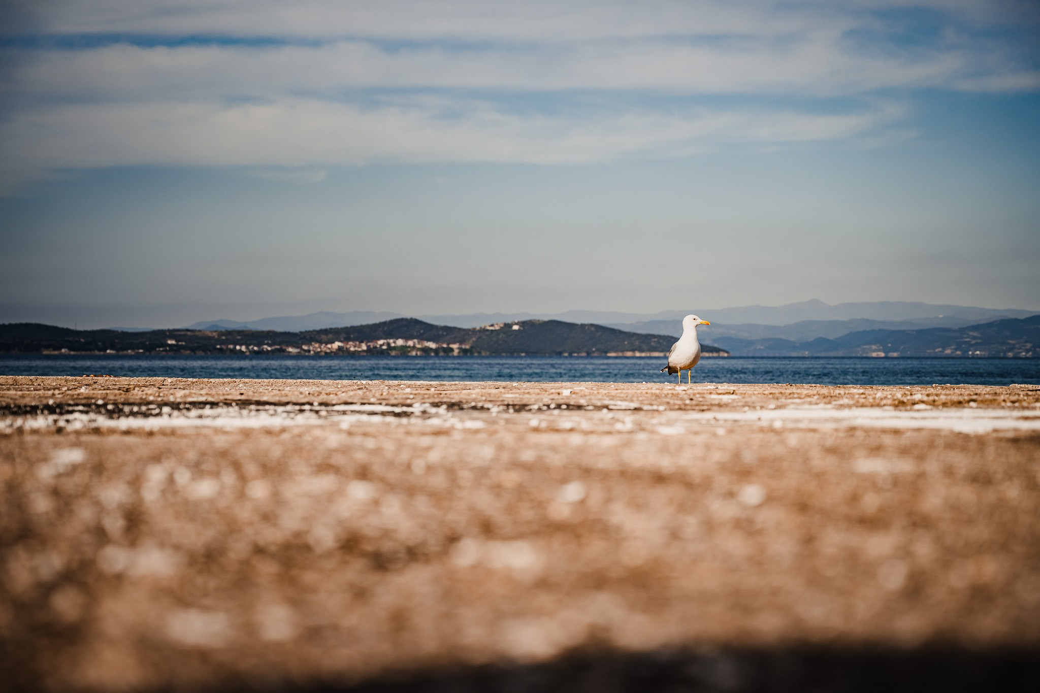 Pilgrim. Photographe de mariage région de Liège Stefan Bogdan