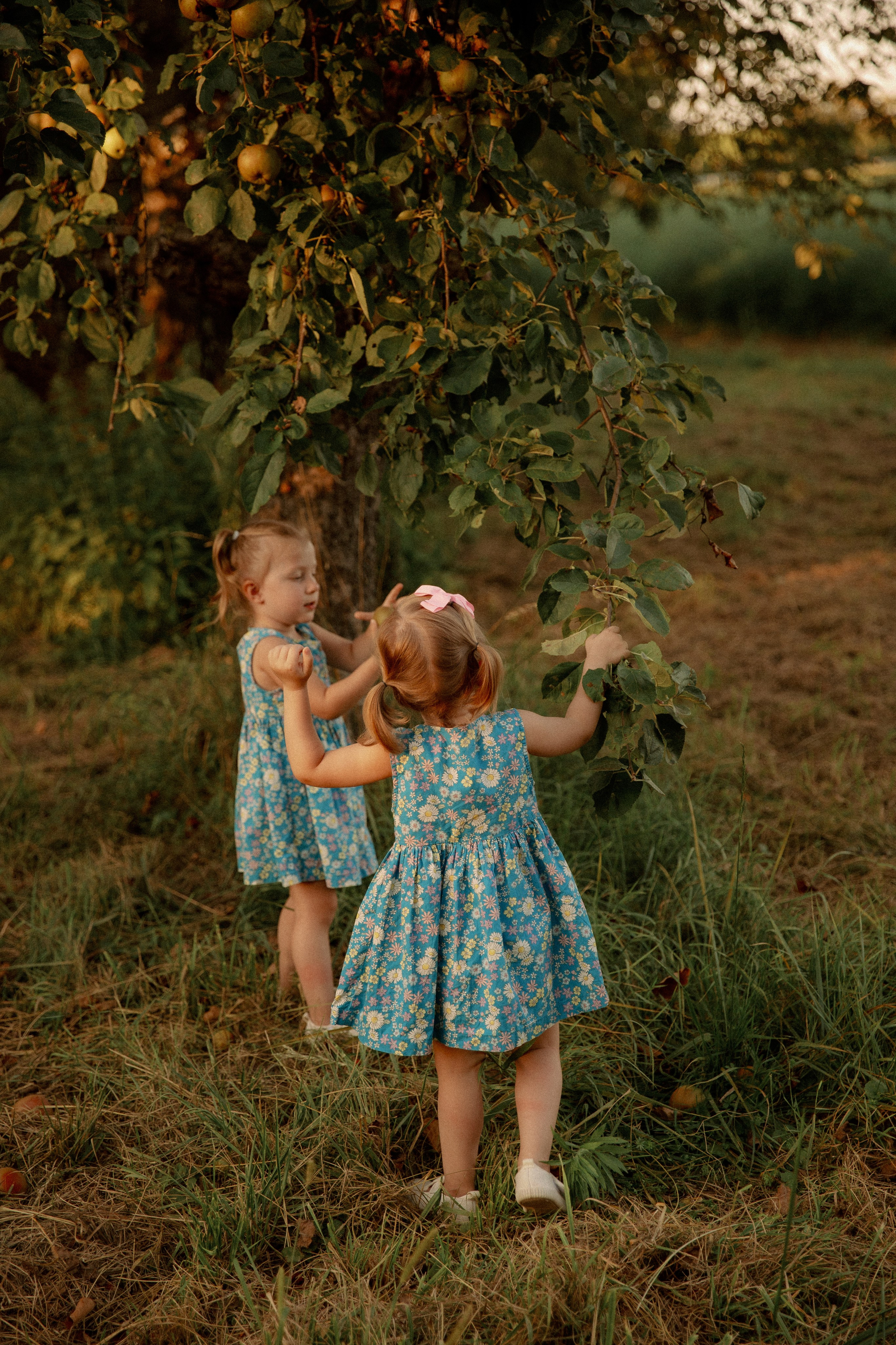 Familien. Huzyk Fotografie. Hochzeits- und Familienfotografin. Freiburg und Umgebung