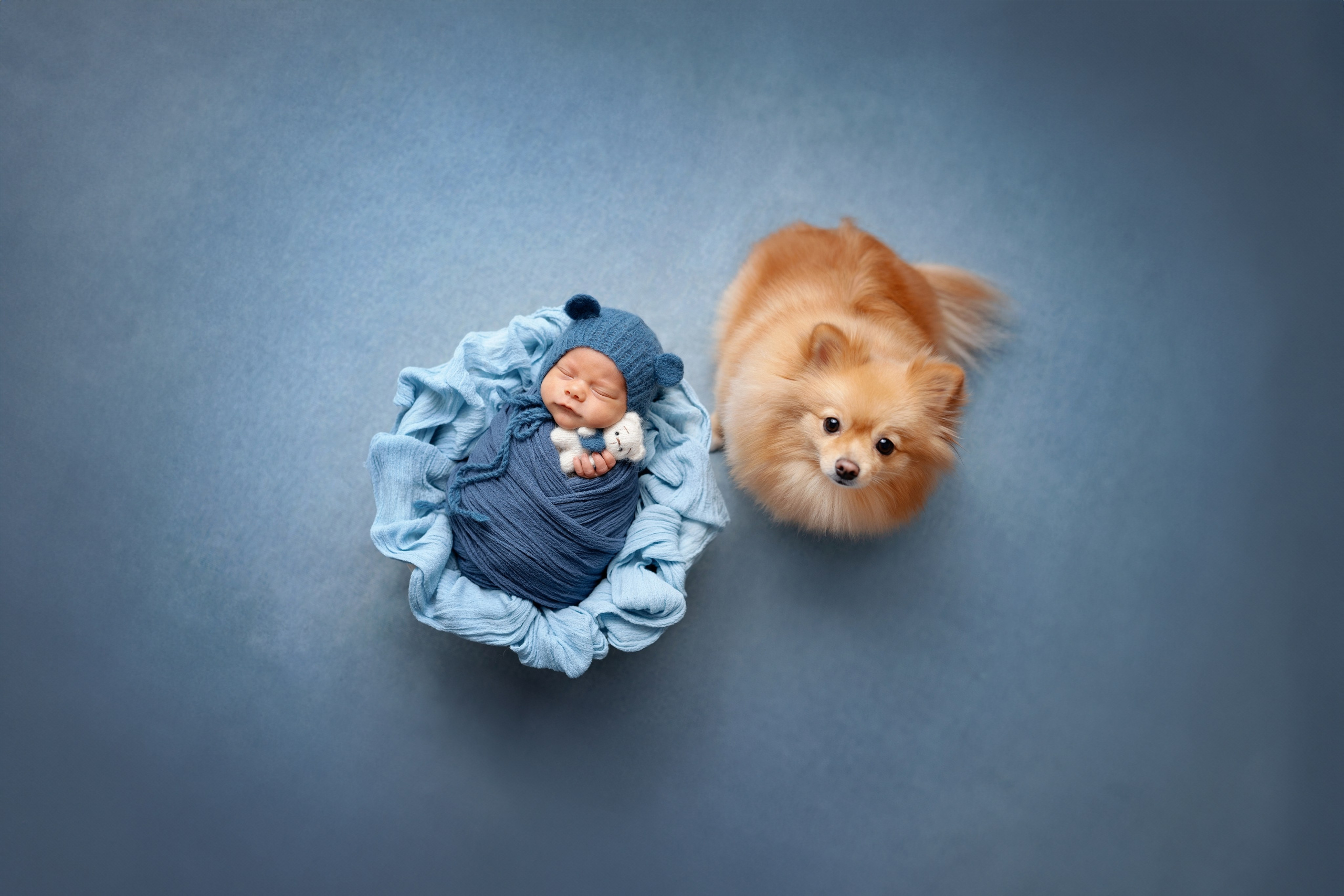 Дамир. Фотограф новорожденных и детей первого года Евгения Михалькевич