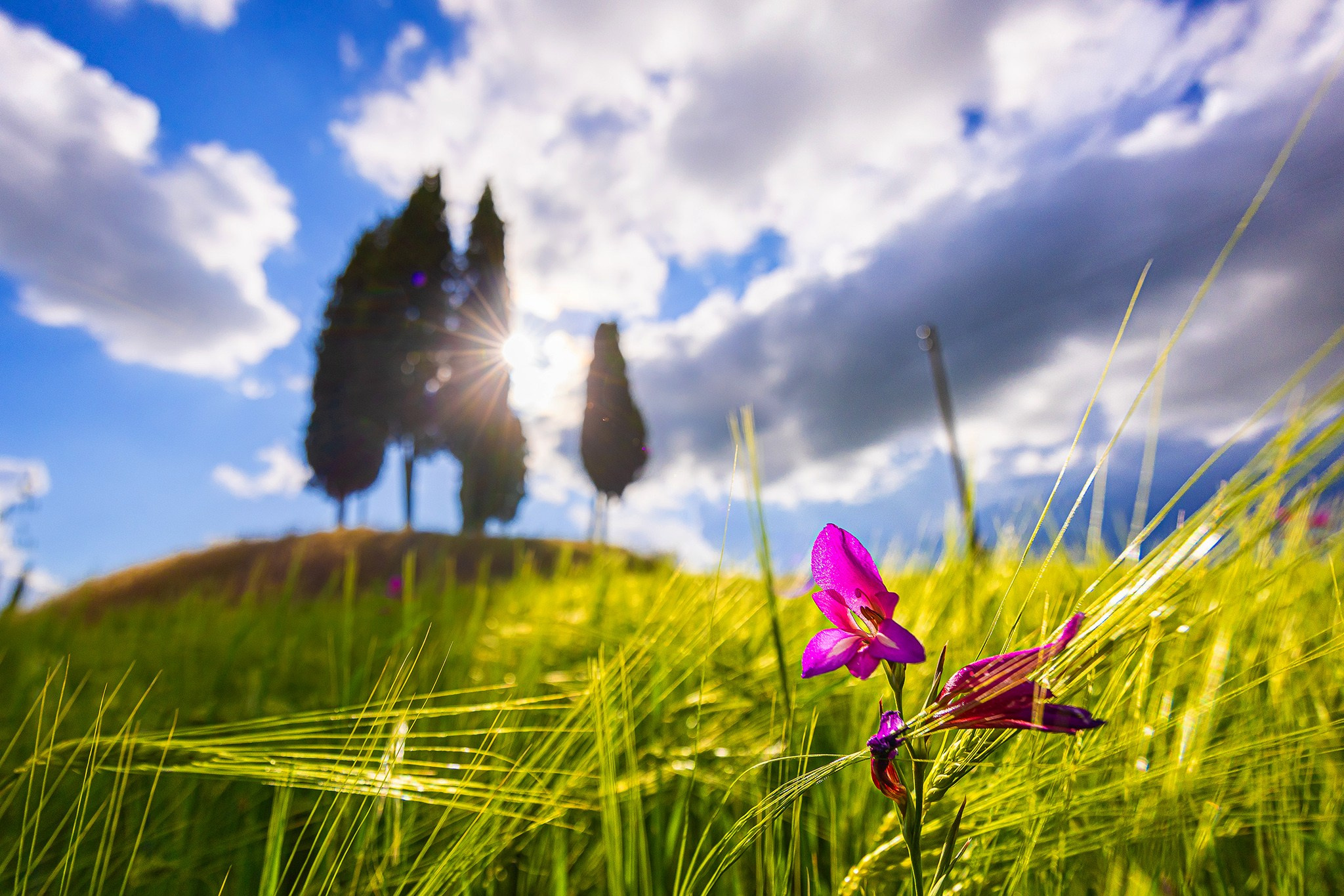 Landscape. Photography by Mircea Maieru