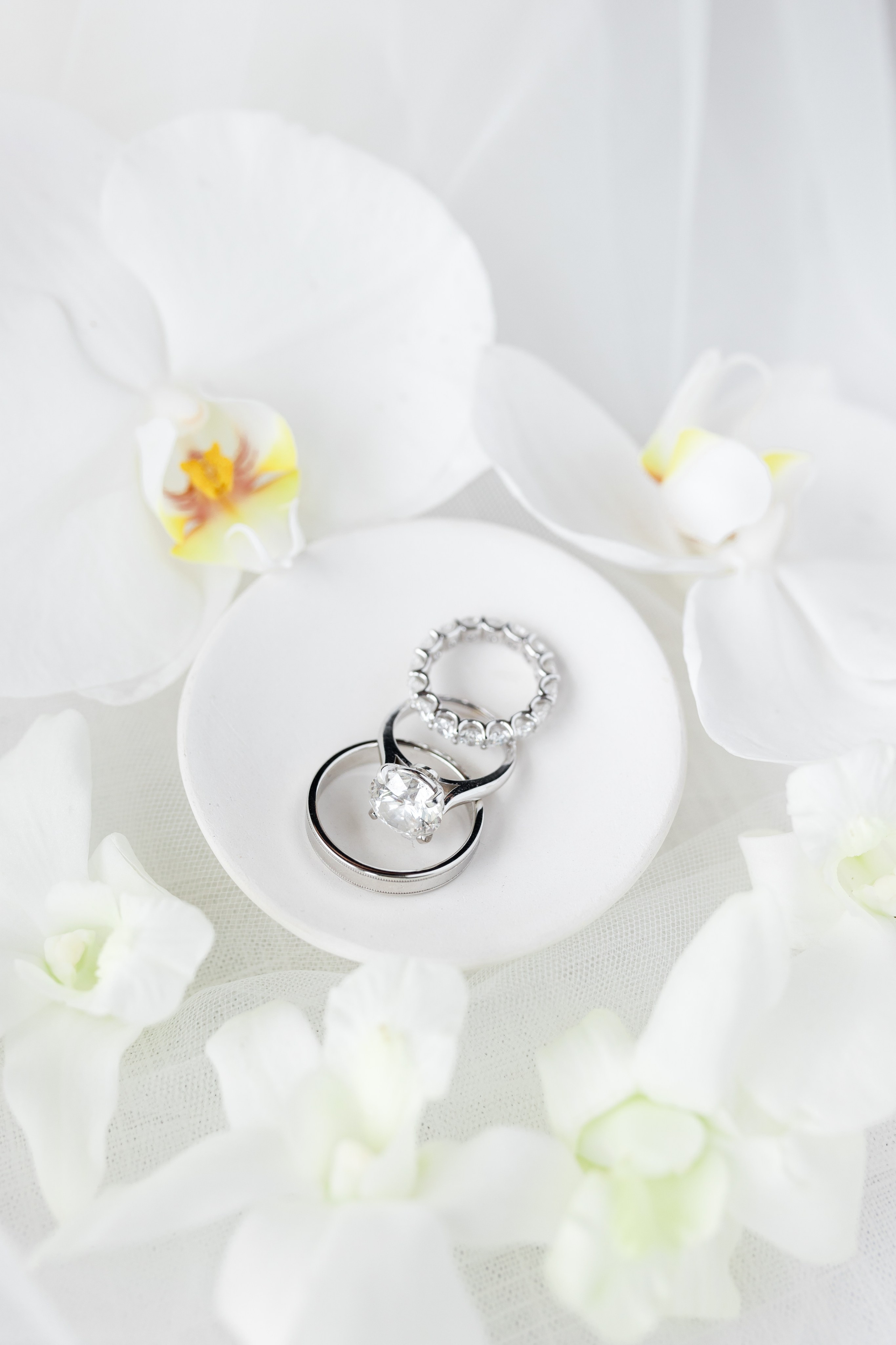 Diana and Filippe Bahamas Wedding. Family and Event photographer in Homestead and Miami areas of Florida