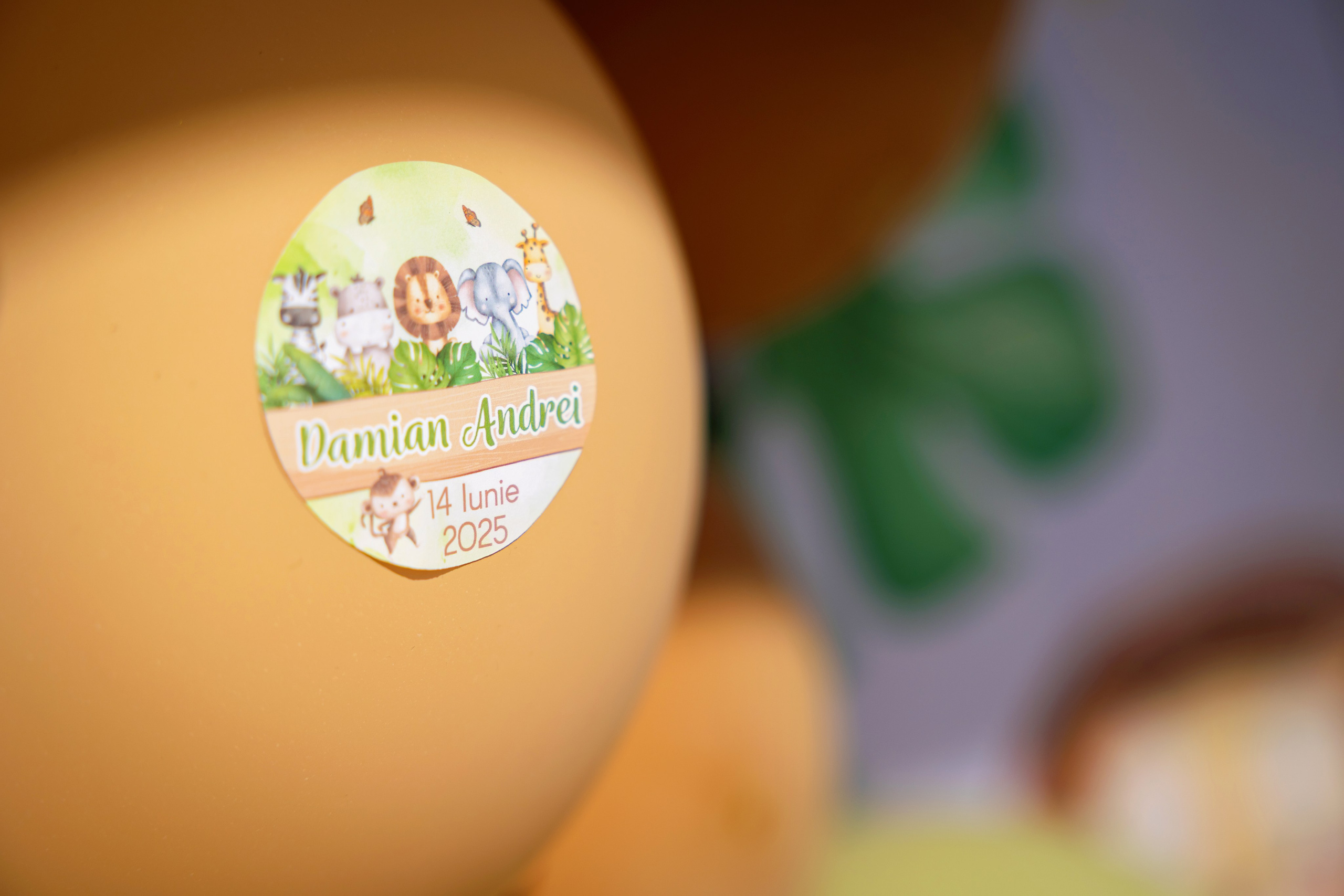 Andrei Damian. Moments By Gub