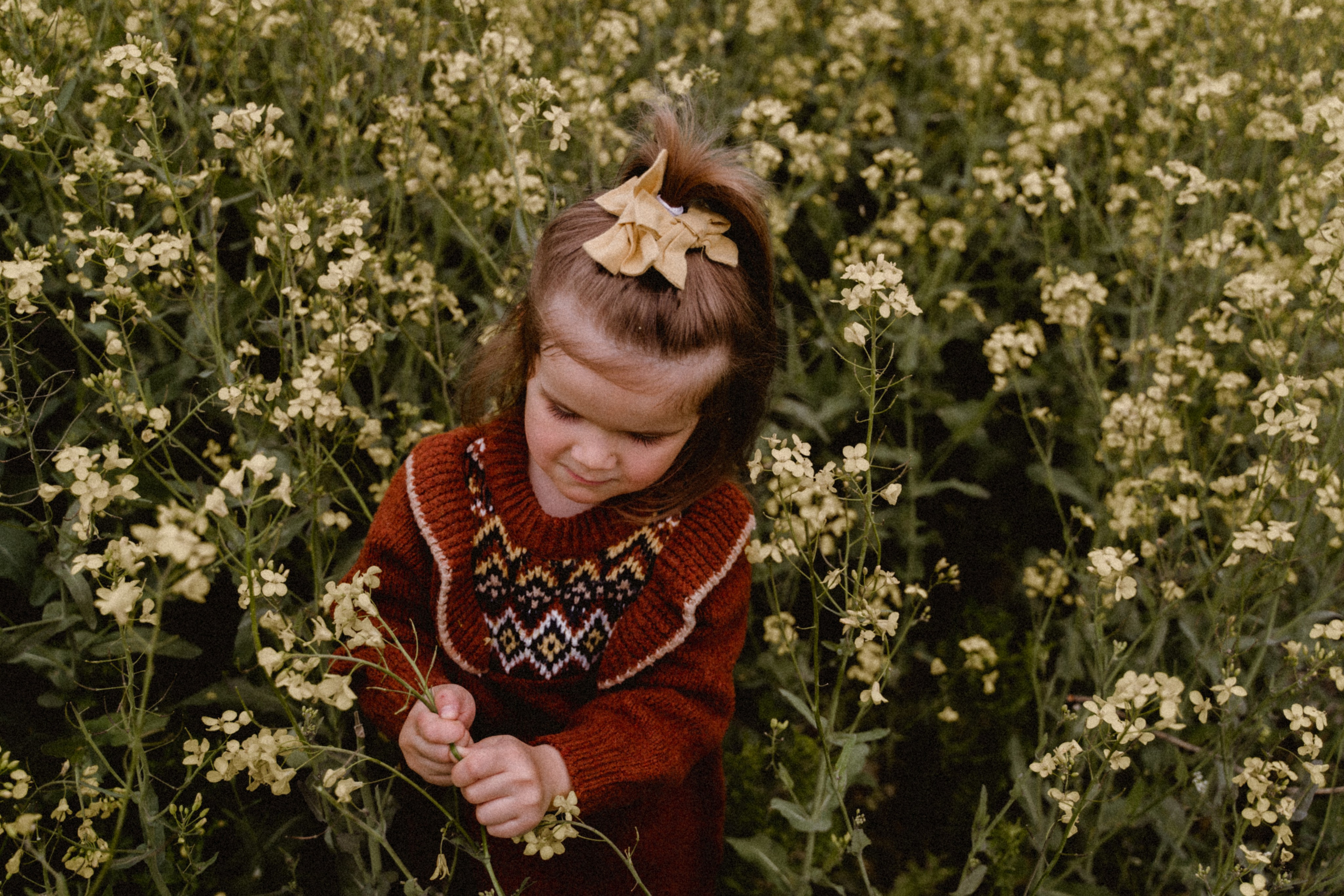 Kinderfotografie. Authentische und emotionale Familienfotos in Landshut und Umgebung