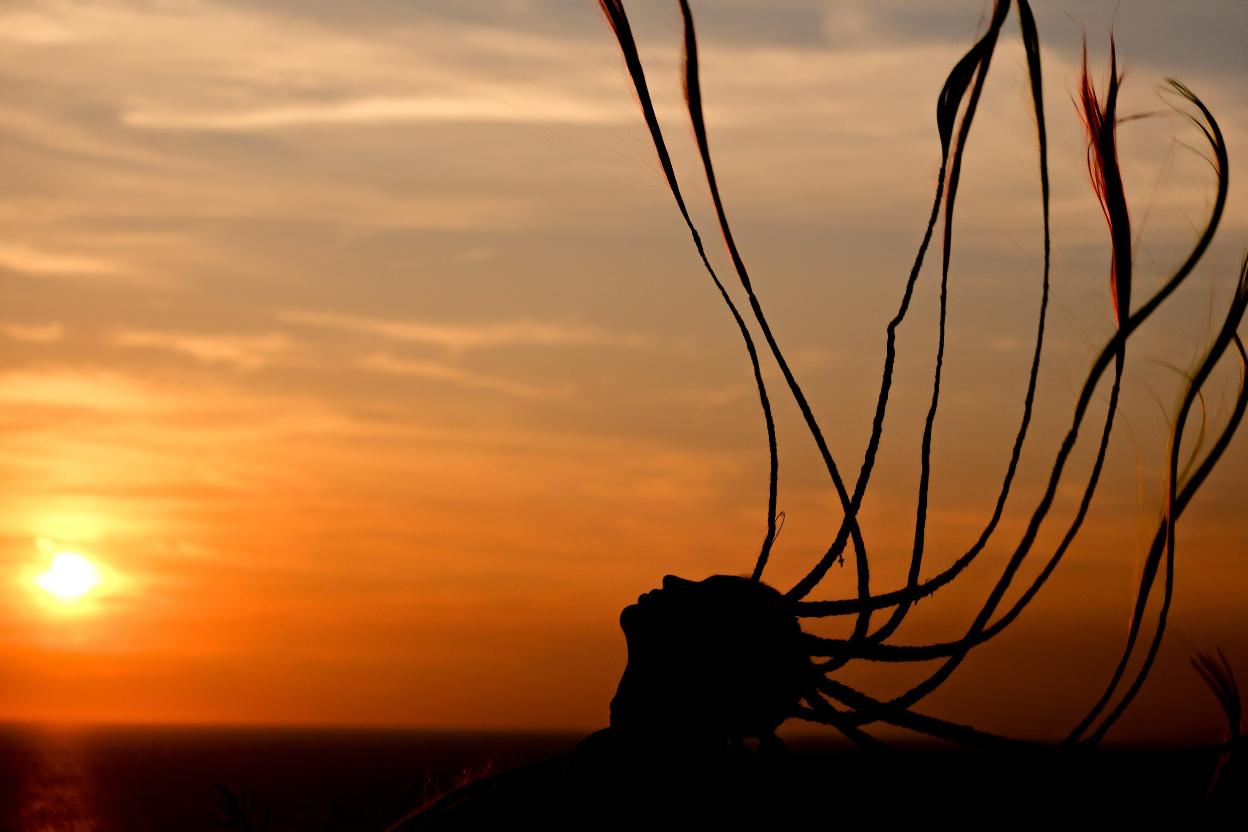 Портфолио — индивидуальные фотосессии и ТФП