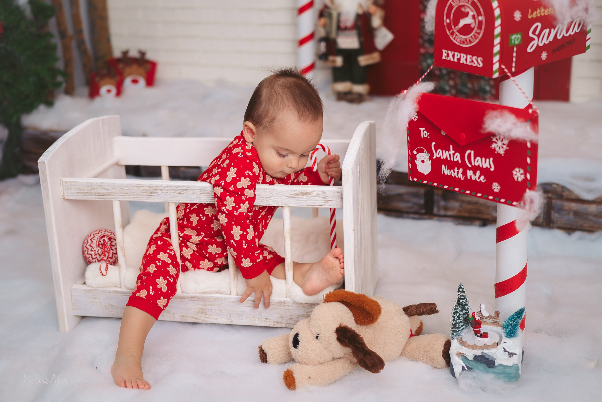 Familia Hacman - Un Crăciun de poveste. Marius Alex fotograf de eveniment si portret din Suceava