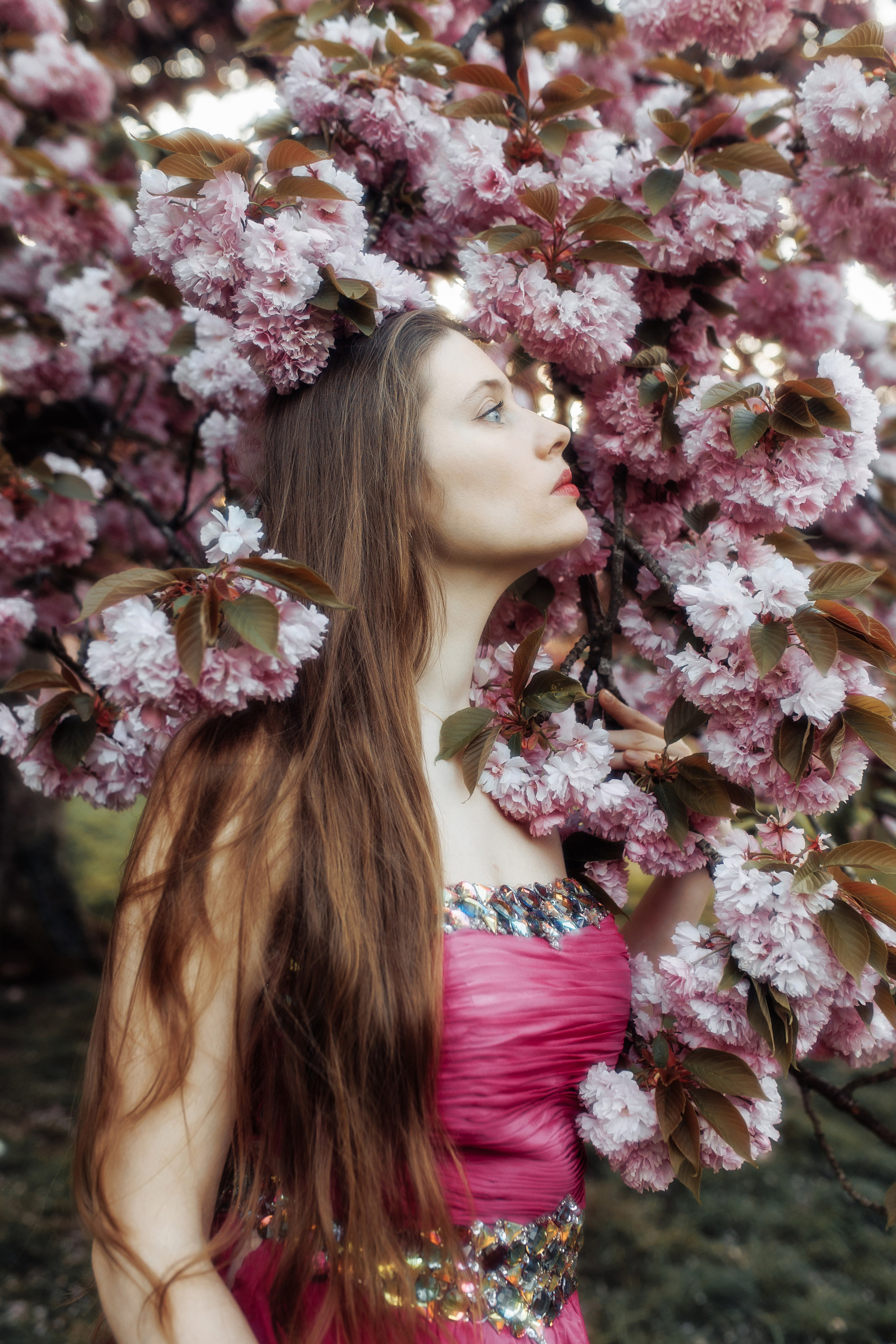 Девушка и цветущие сакуры. 