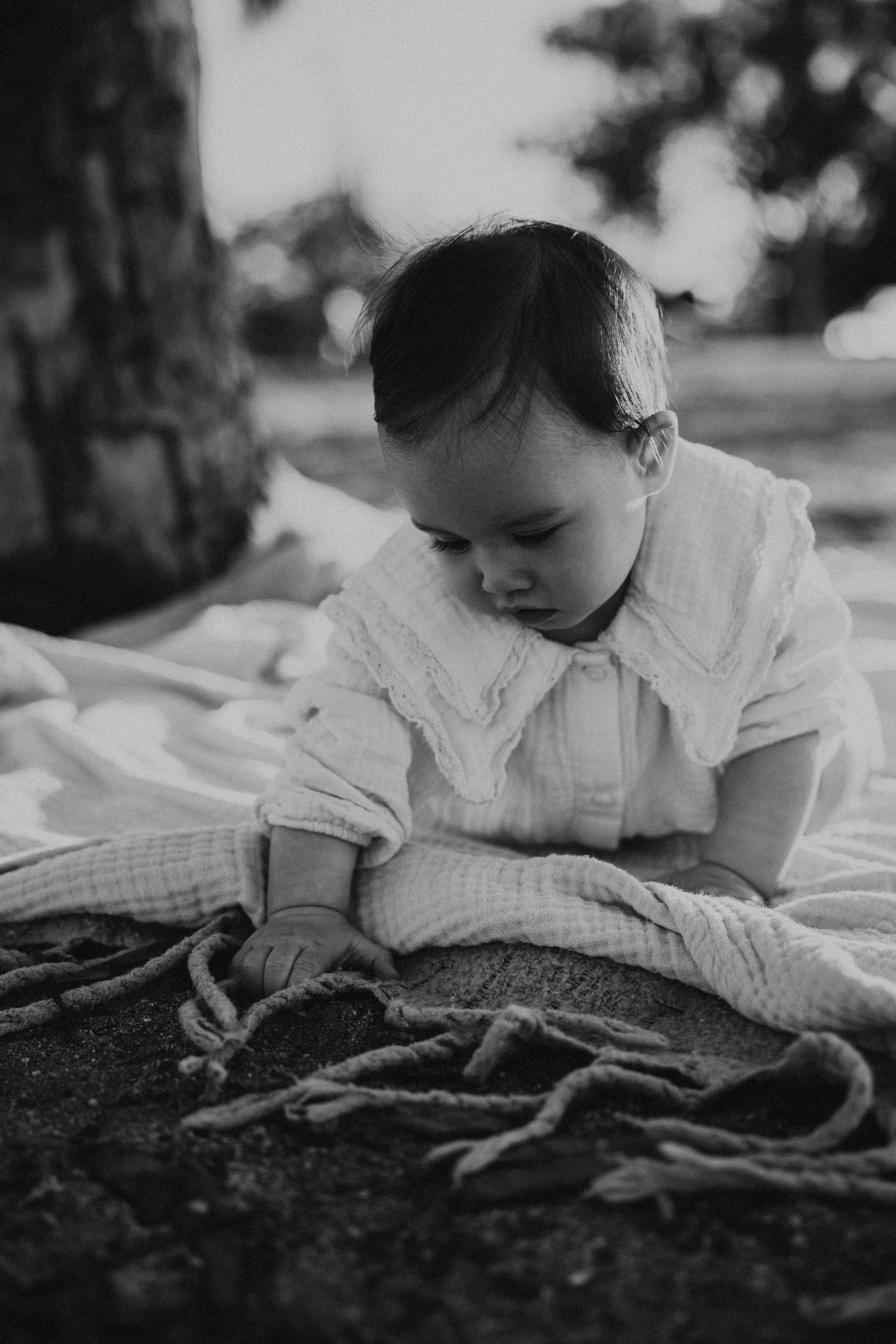 *. Wedding and family photographer San Diego