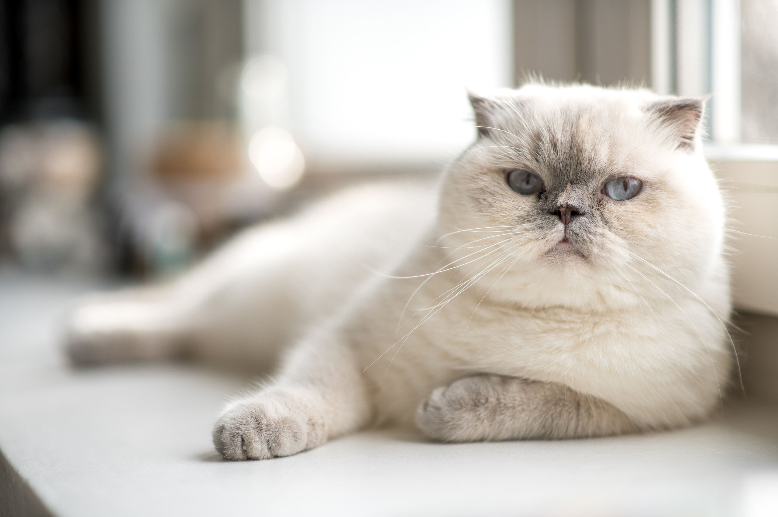 Фотосессия беременной. Семейный и детский фотограф в Минске Надежда Савицкая