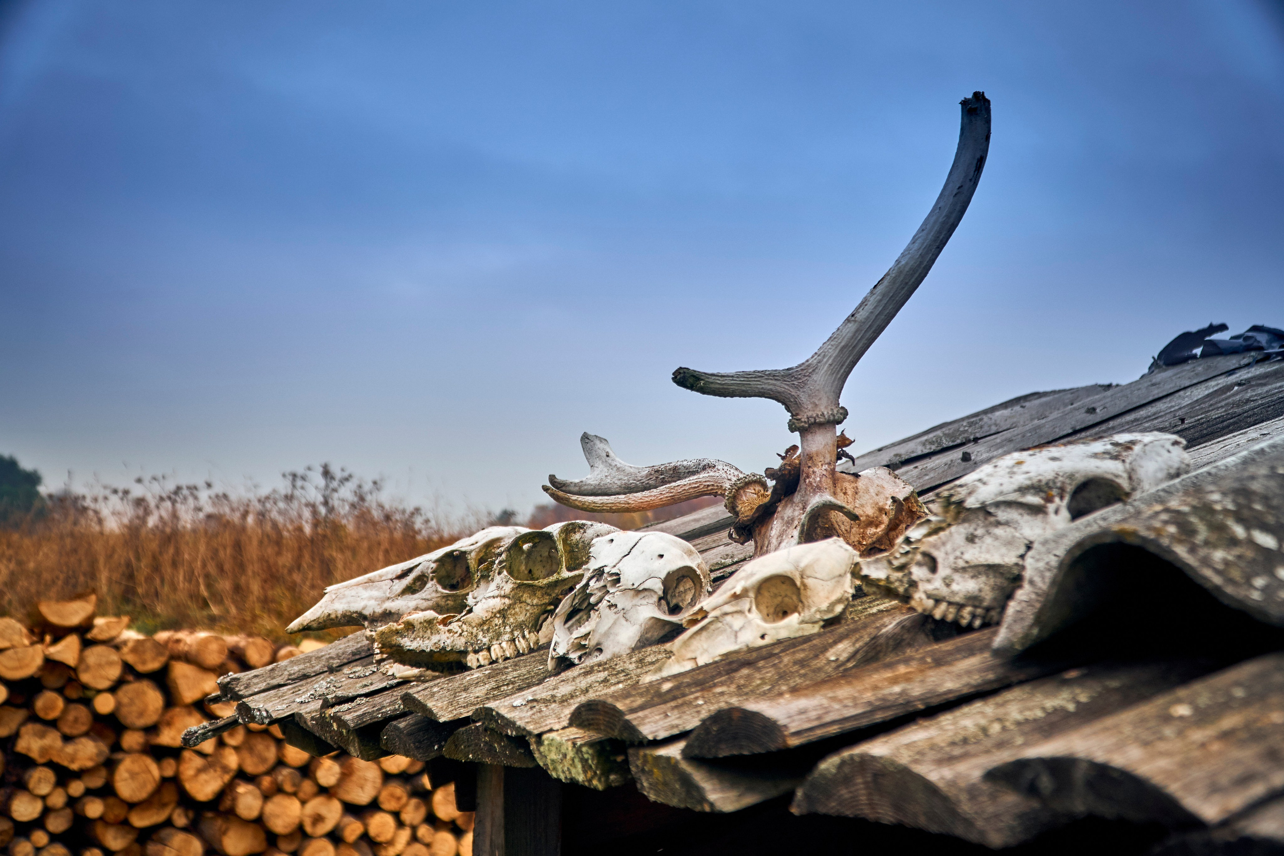 Бещады — здесь остановилось время. Андрей Шипилов — Фотография & Видеография