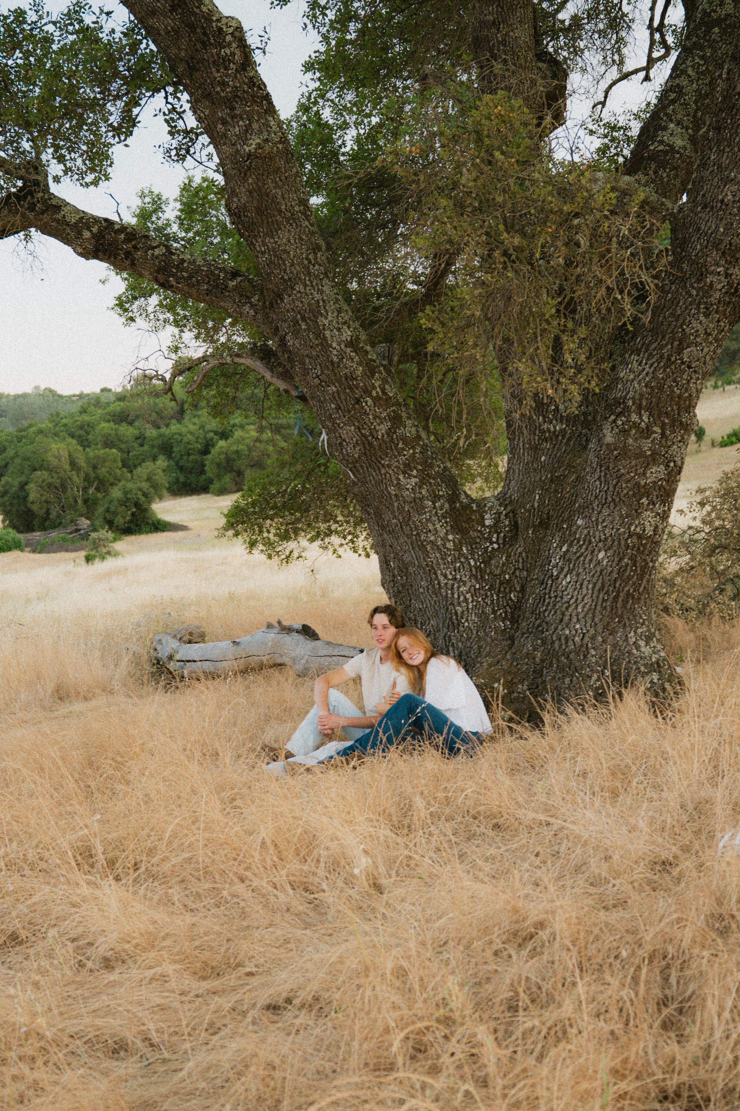 Love Story — Sacramento