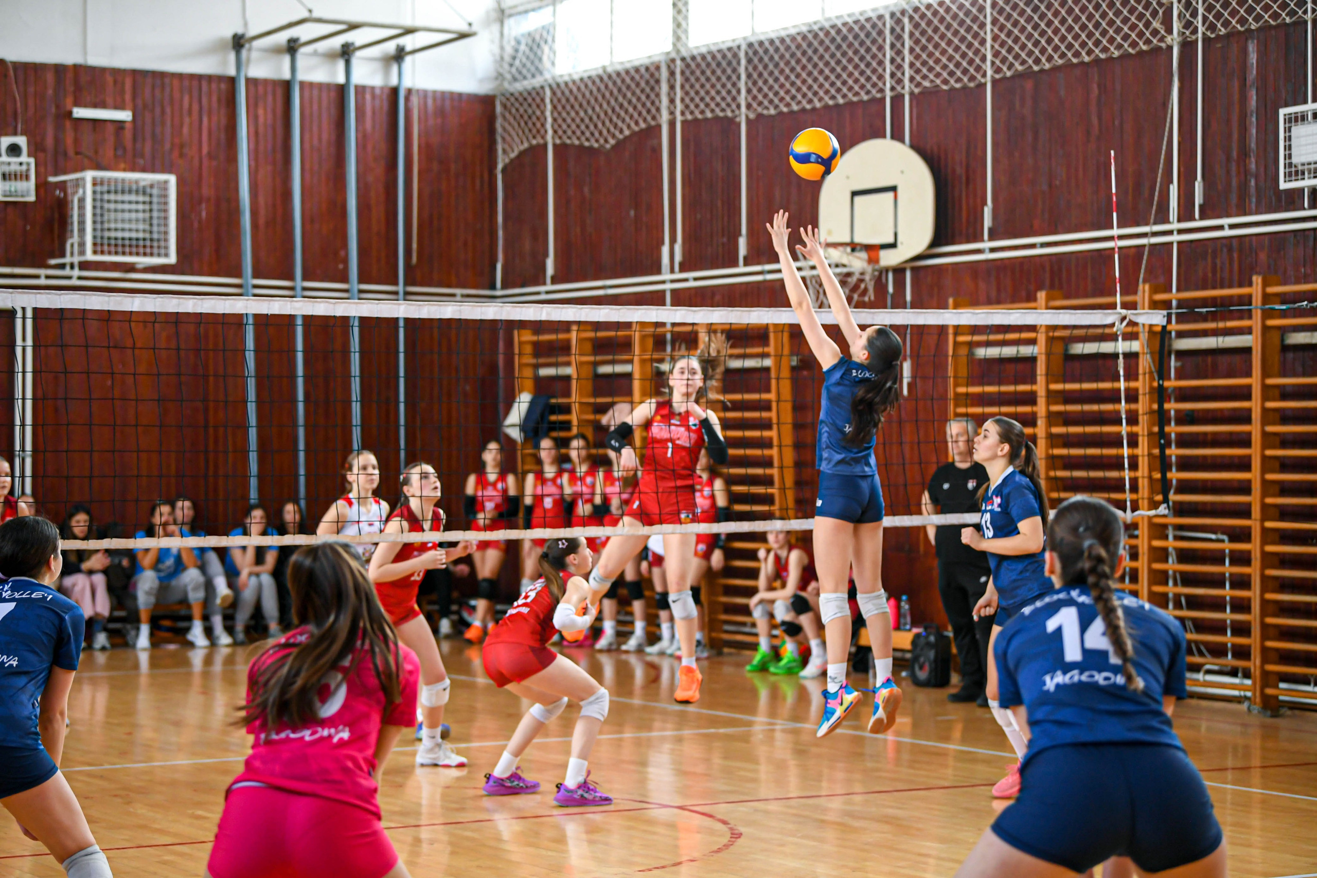 Odbojka 22.03.  Radnicki KG — BlockVolley JAG. Foto Simic Jagodina