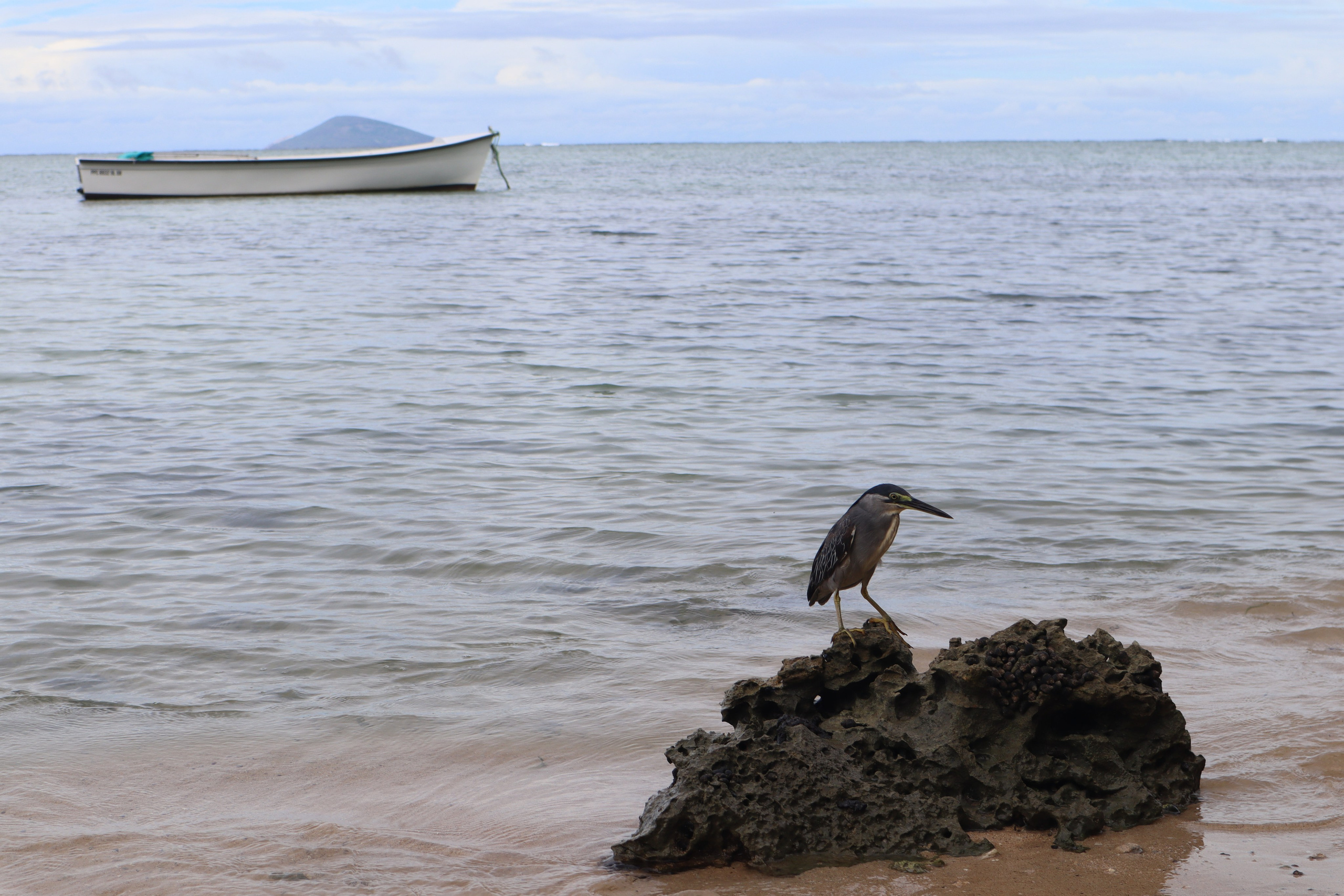 Путешествие на родину птицы додо. Travel photographer Ksenia