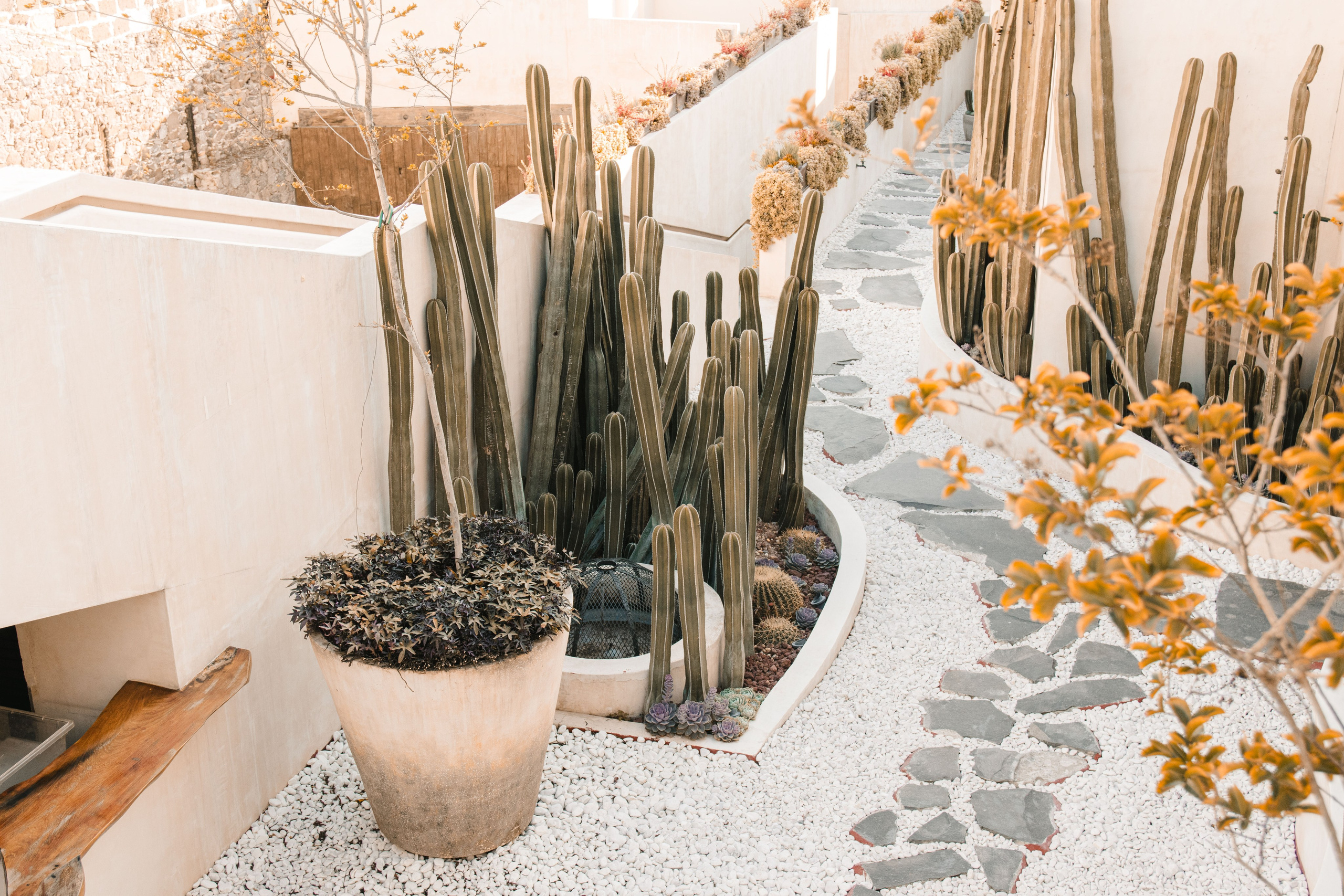 Andrea & Kyle. Saúl Vázquez | Destination Wedding Photographer
