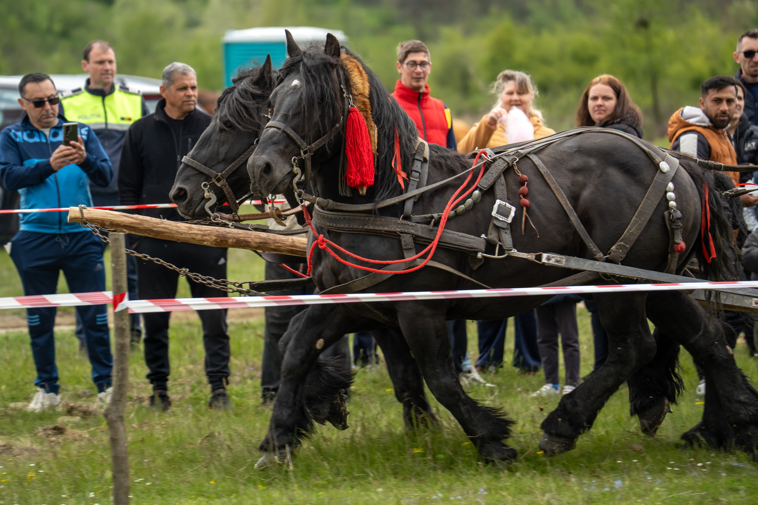 Concurs Ecvestru Vărbilău ediția a 4-a. Mihai Alexandra Events