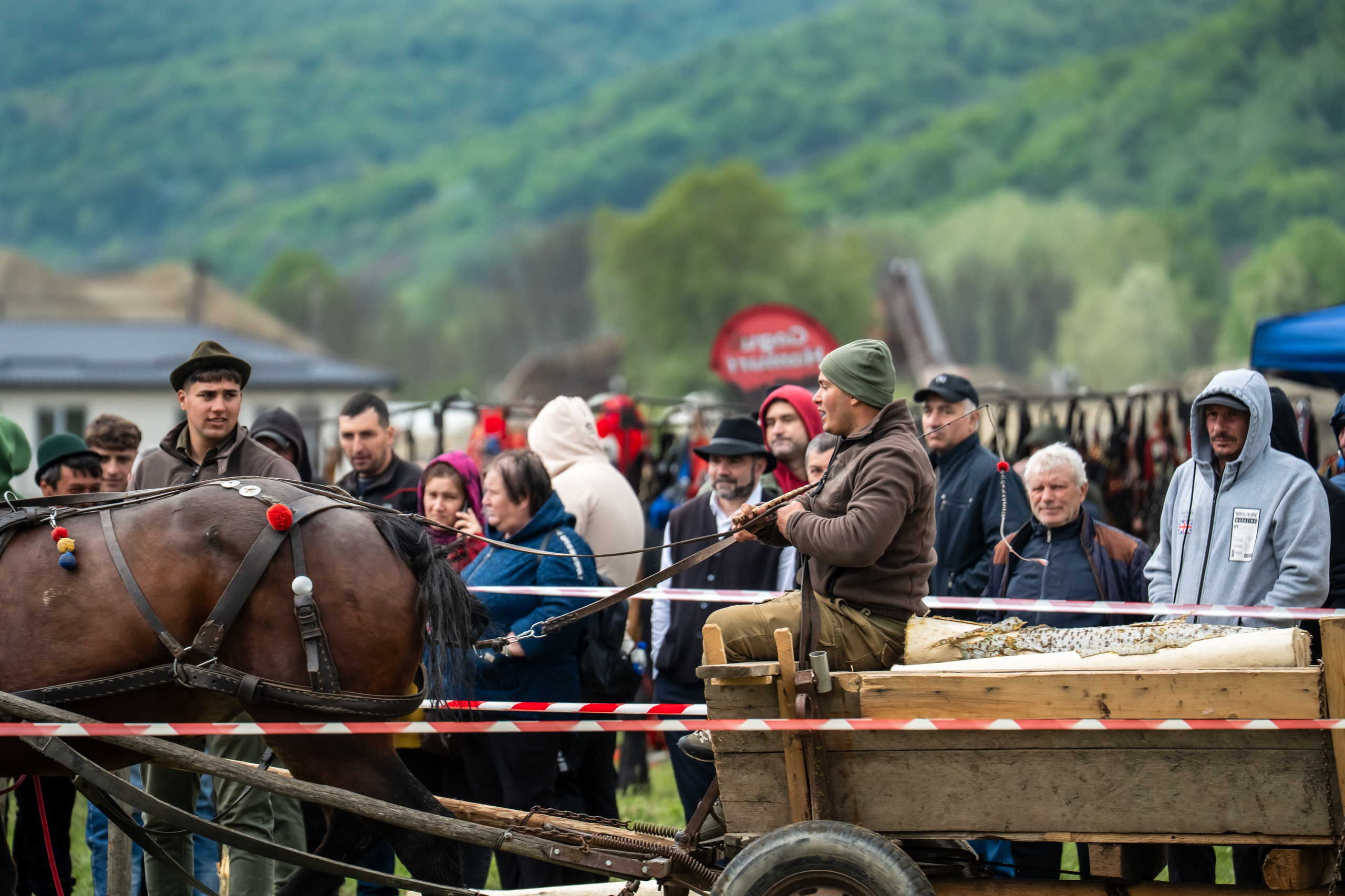 Concurs Ecvestru Vărbilău ediția a 4-a. Mihai Alexandra Events