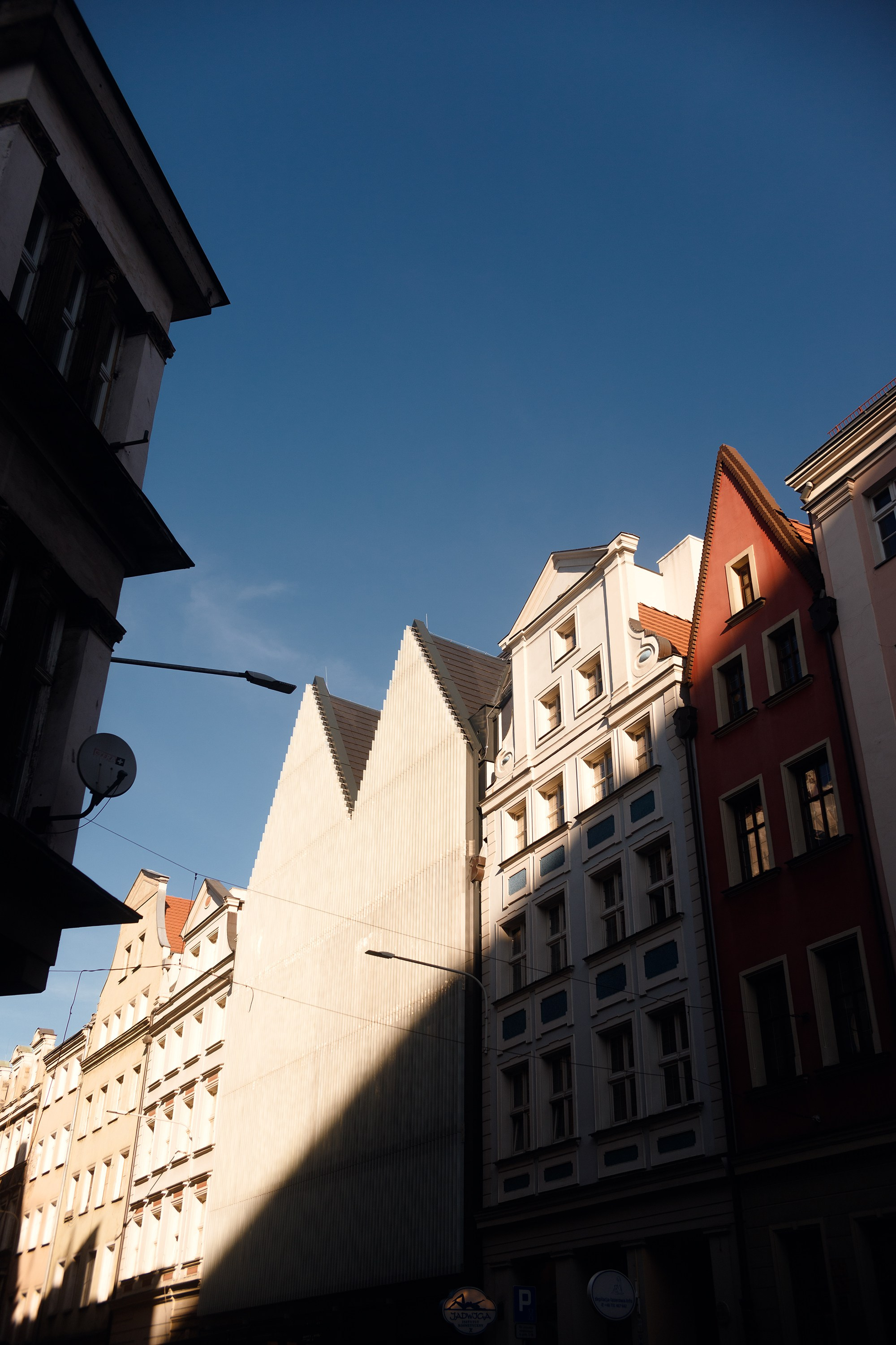 Wroclaw | the best ones. Kaja | fotograf psów we Wrocławiu