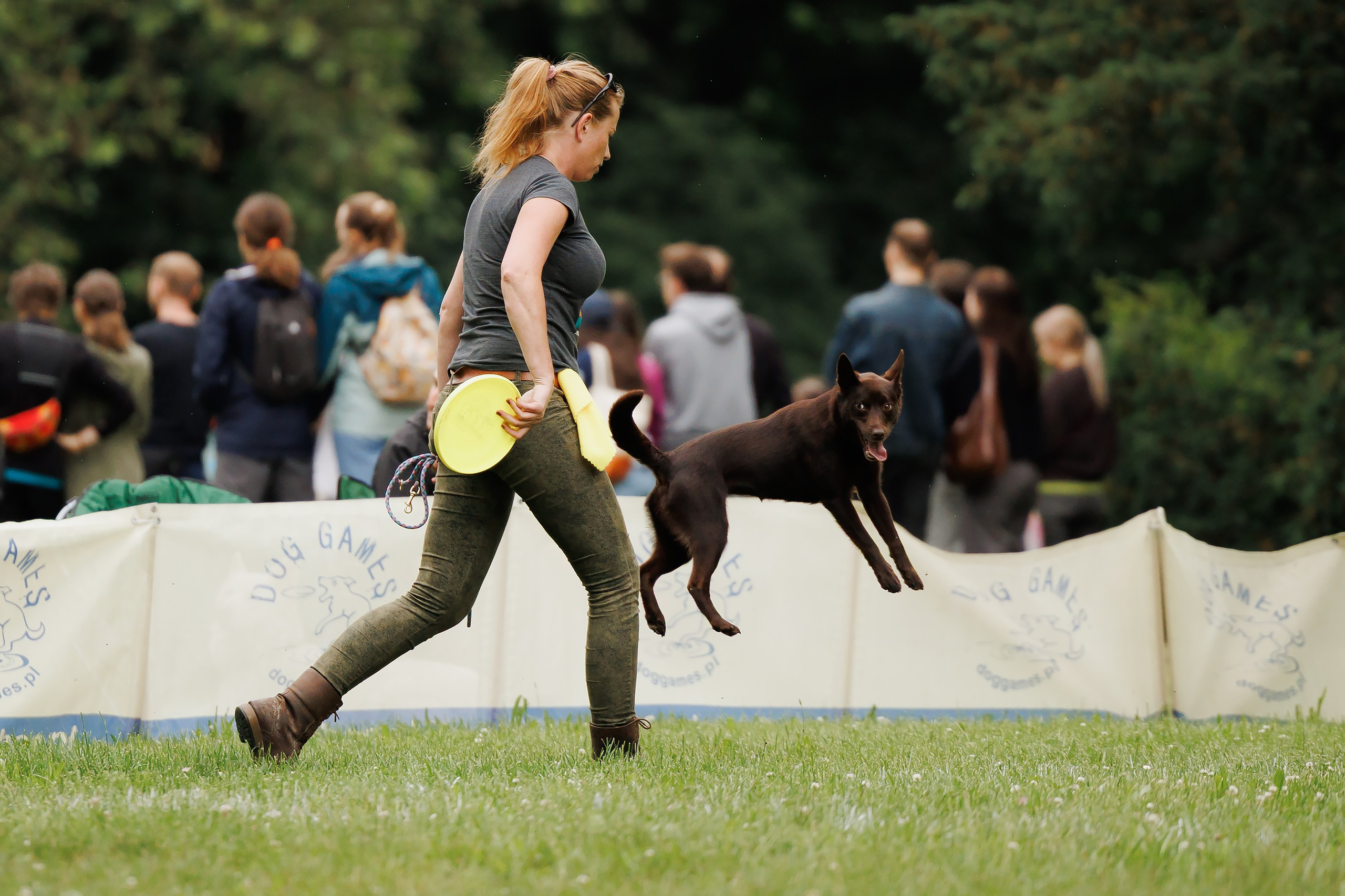 Latające psy, Wrocław'25. Kaja | fotograf psów we Wrocławiu