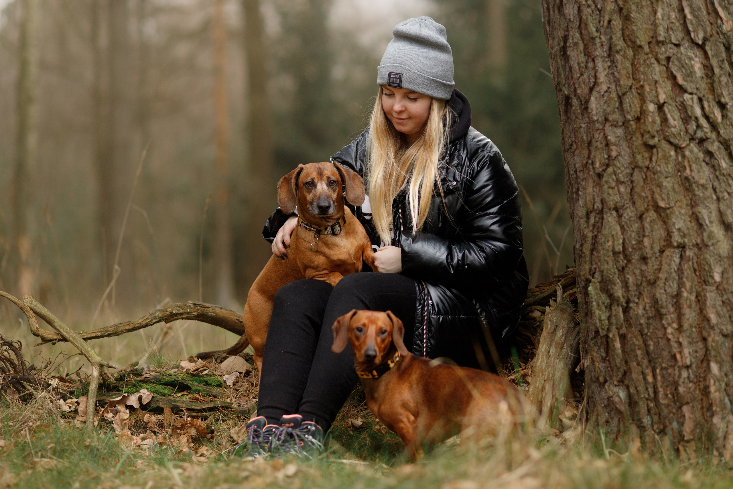 Ania, Franek & Vincent. Kaja | fotograf psów we Wrocławiu