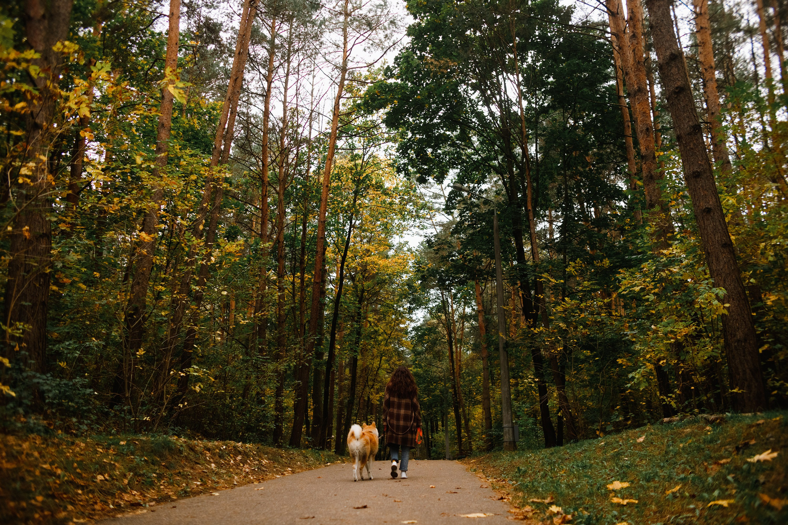 Maria & Kenji. Kaja | fotograf we Wrocławiu | ludzie i psy