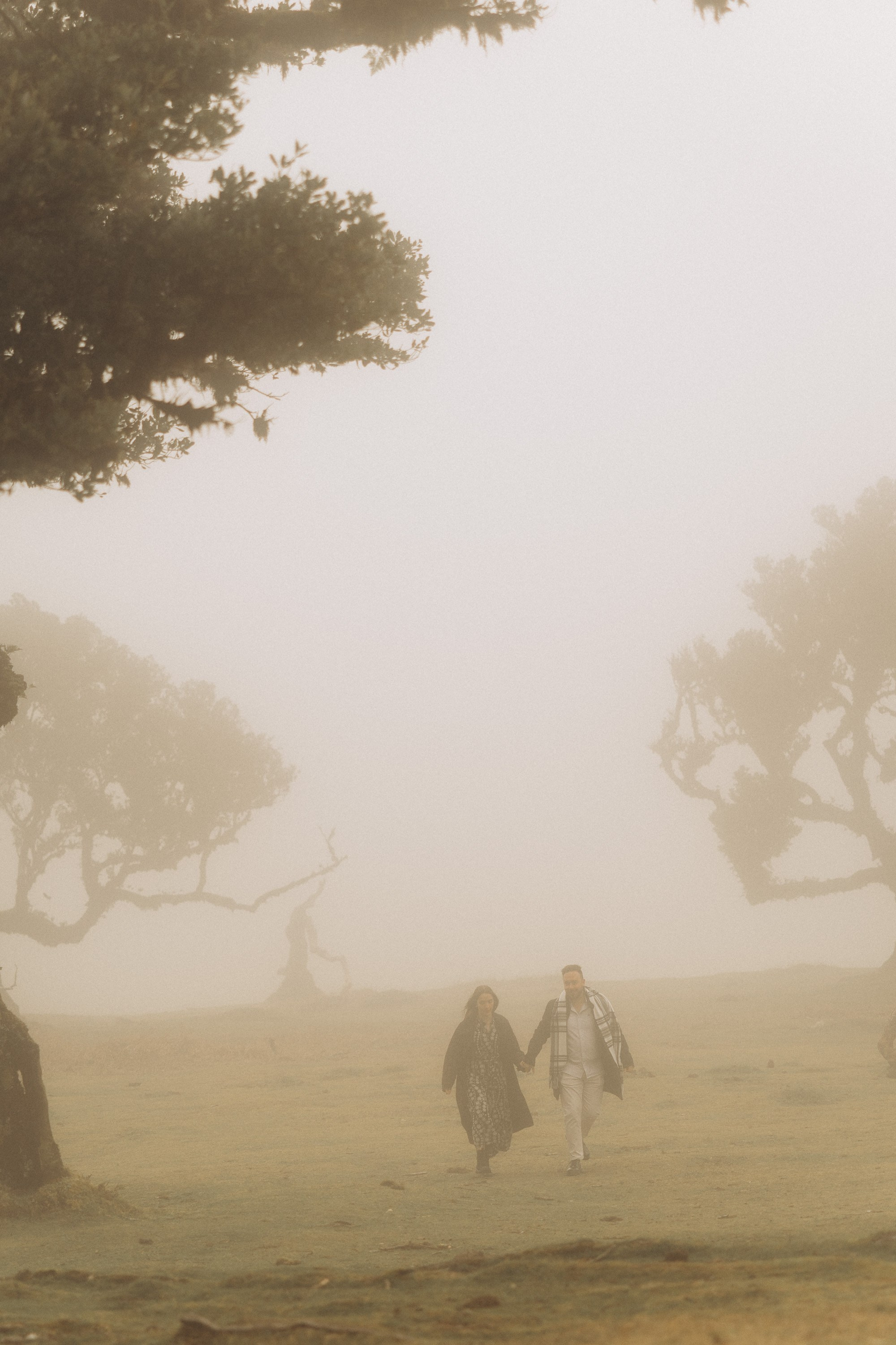 Couple photoshoot in Fanal Forest Madeira PortugalA romantic couple standing amidst the ancient laurel trees of Fanal Forest, Madeira, surrounded by a mystical fog that adds an ethereal touch to the scene