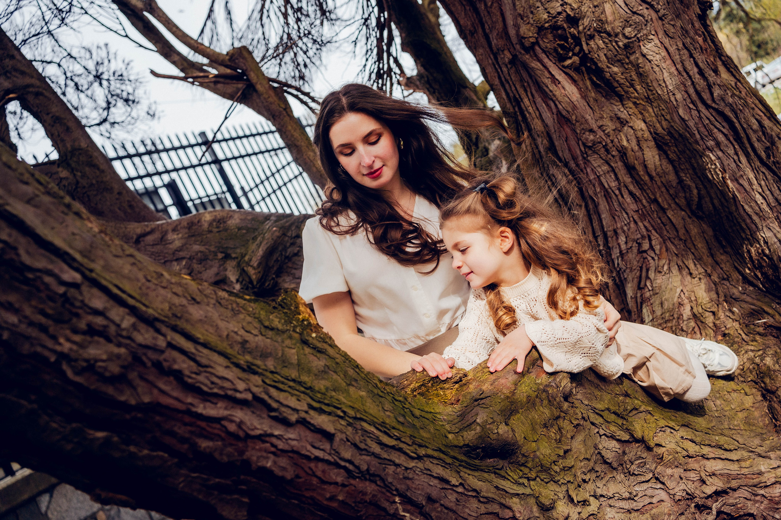 Cherry blossom. Main