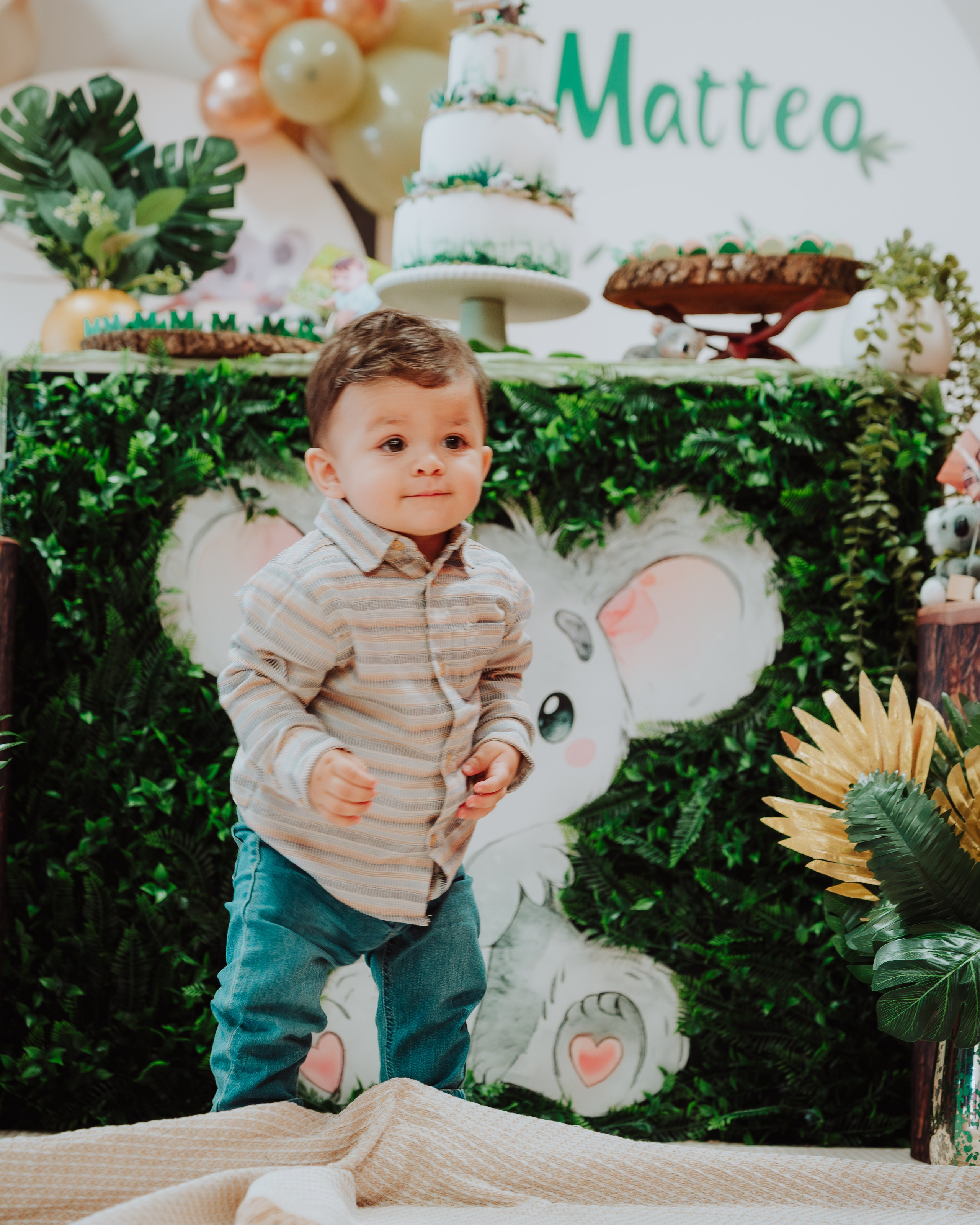 Celebrate Birthday -Mateo. JS Photoshoot | Family, Events & Pet Photographer in Brisbane