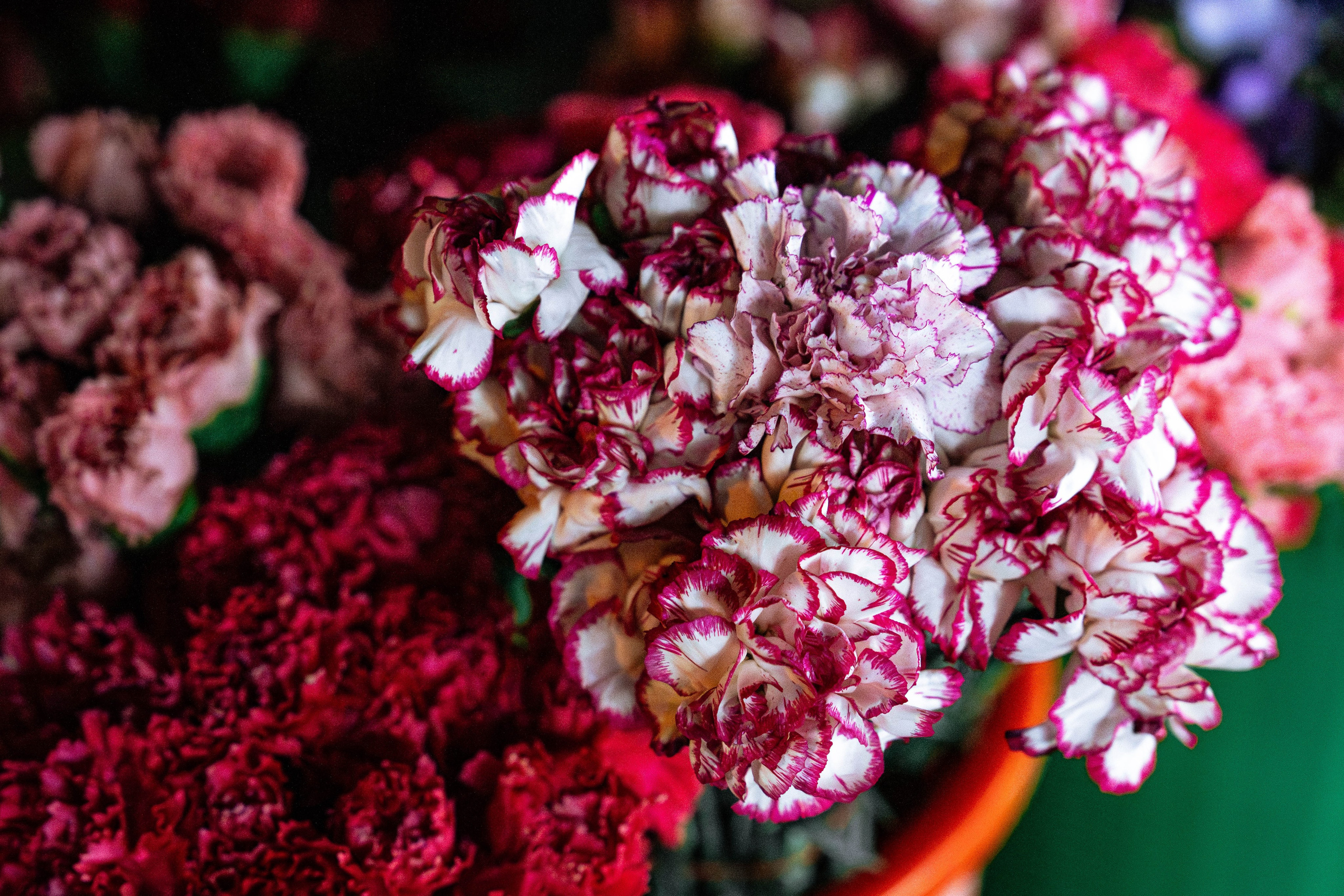 Как мужчины готовились к 8 марта. Георгий Намазов | Фотограф в Ташкенте