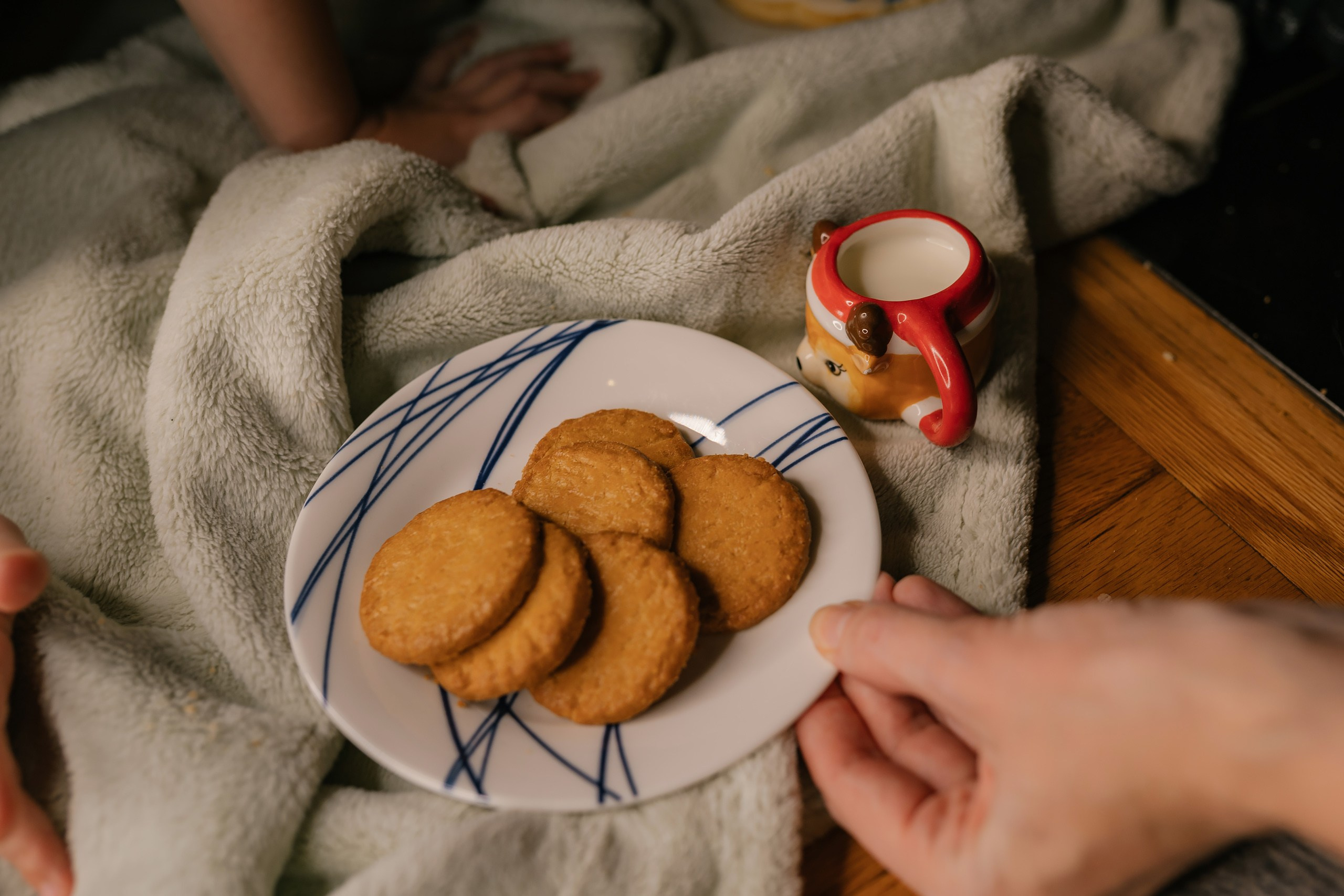 12.07.2025 Christmas Photoshoot. Wedding family event photographer in Chicago Nick Yushevich