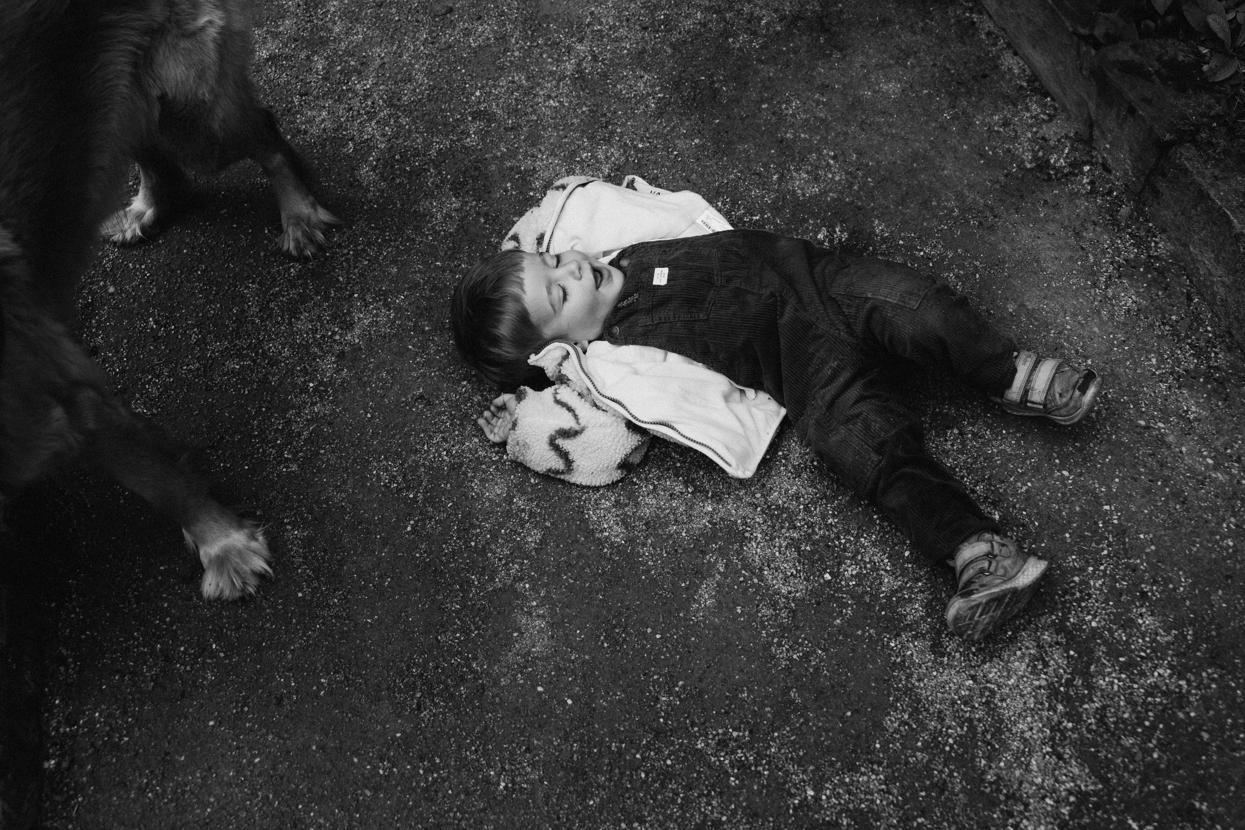 Three generations & one tail. Фотографы Минск и мир