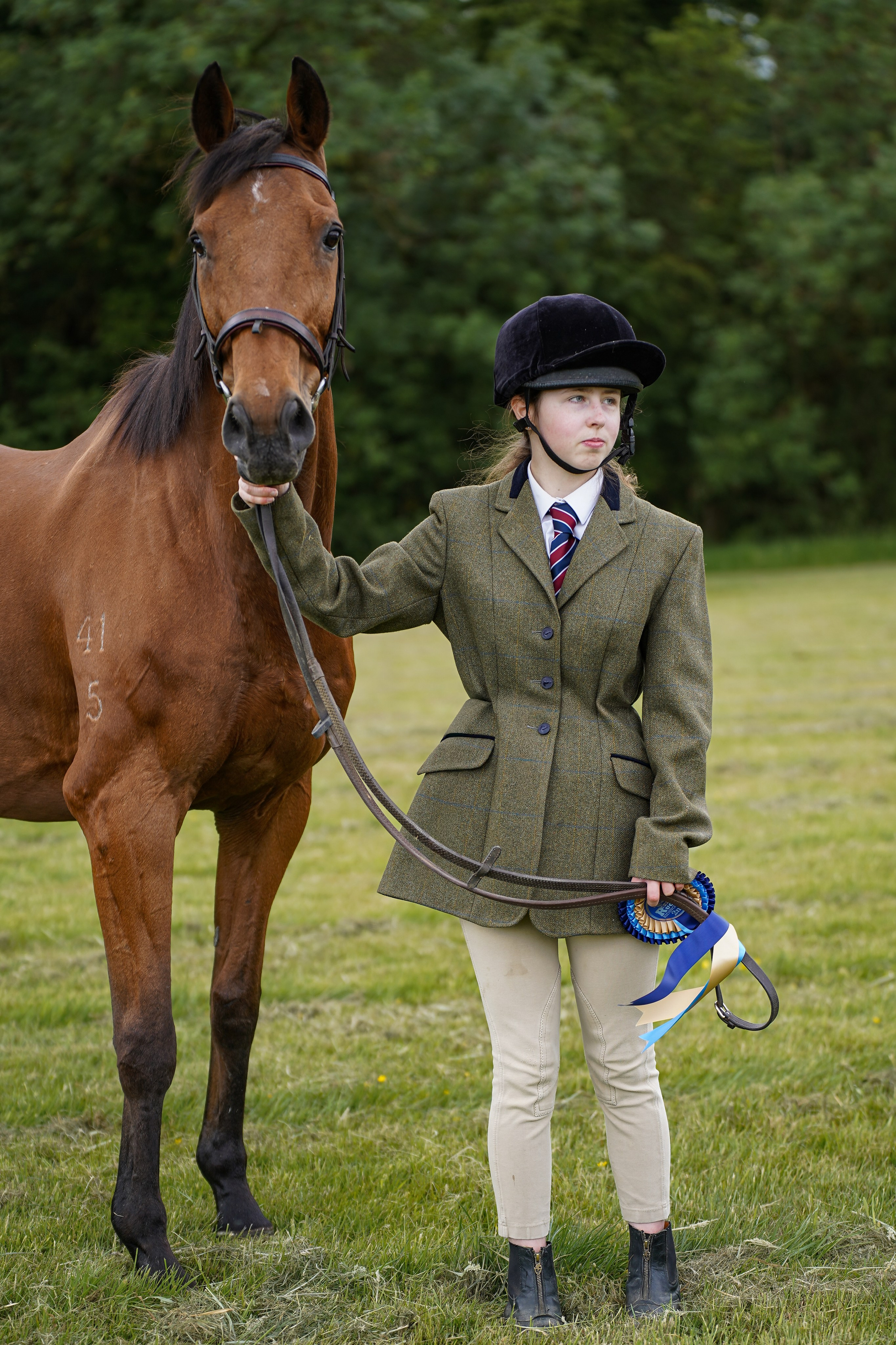 Showing. Leicestershire Equine Photography by El | Authentic Equine Portraits & Events