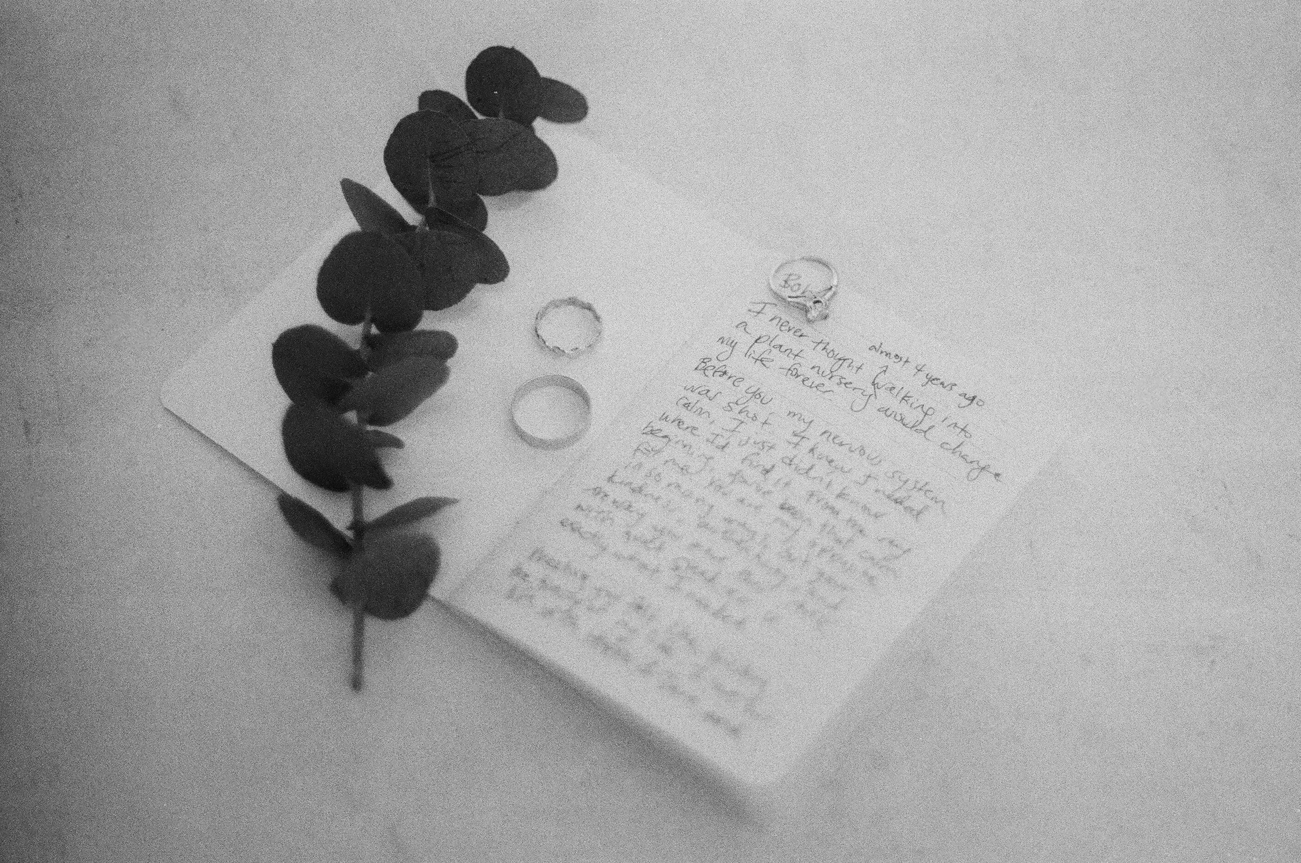 Stephanie & Christian film photos. Весільний фотограф Вікторія Саврук