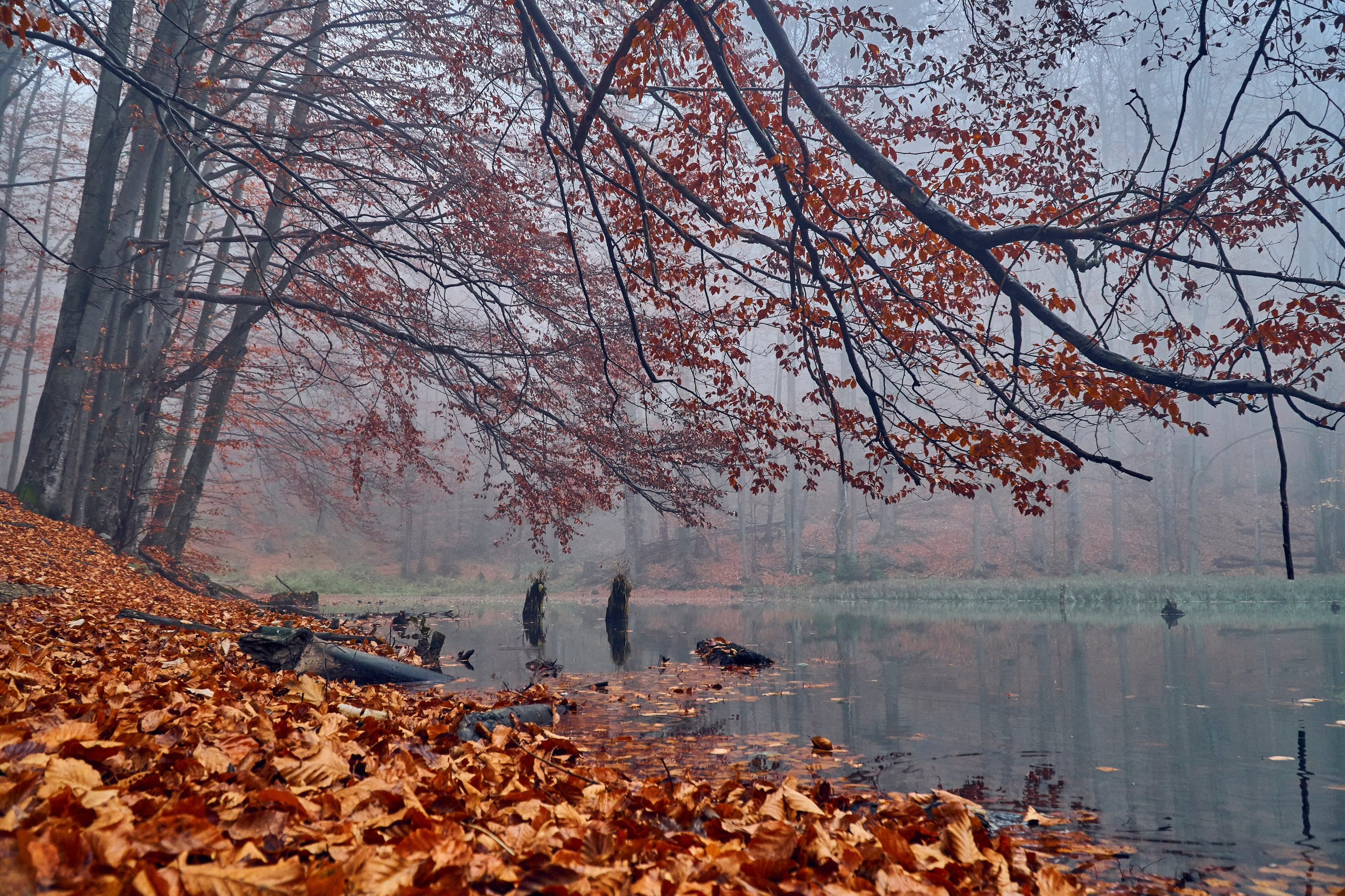 Бещады — здесь остановилось время. Андрей Шипилов — Фотография & Видеография
