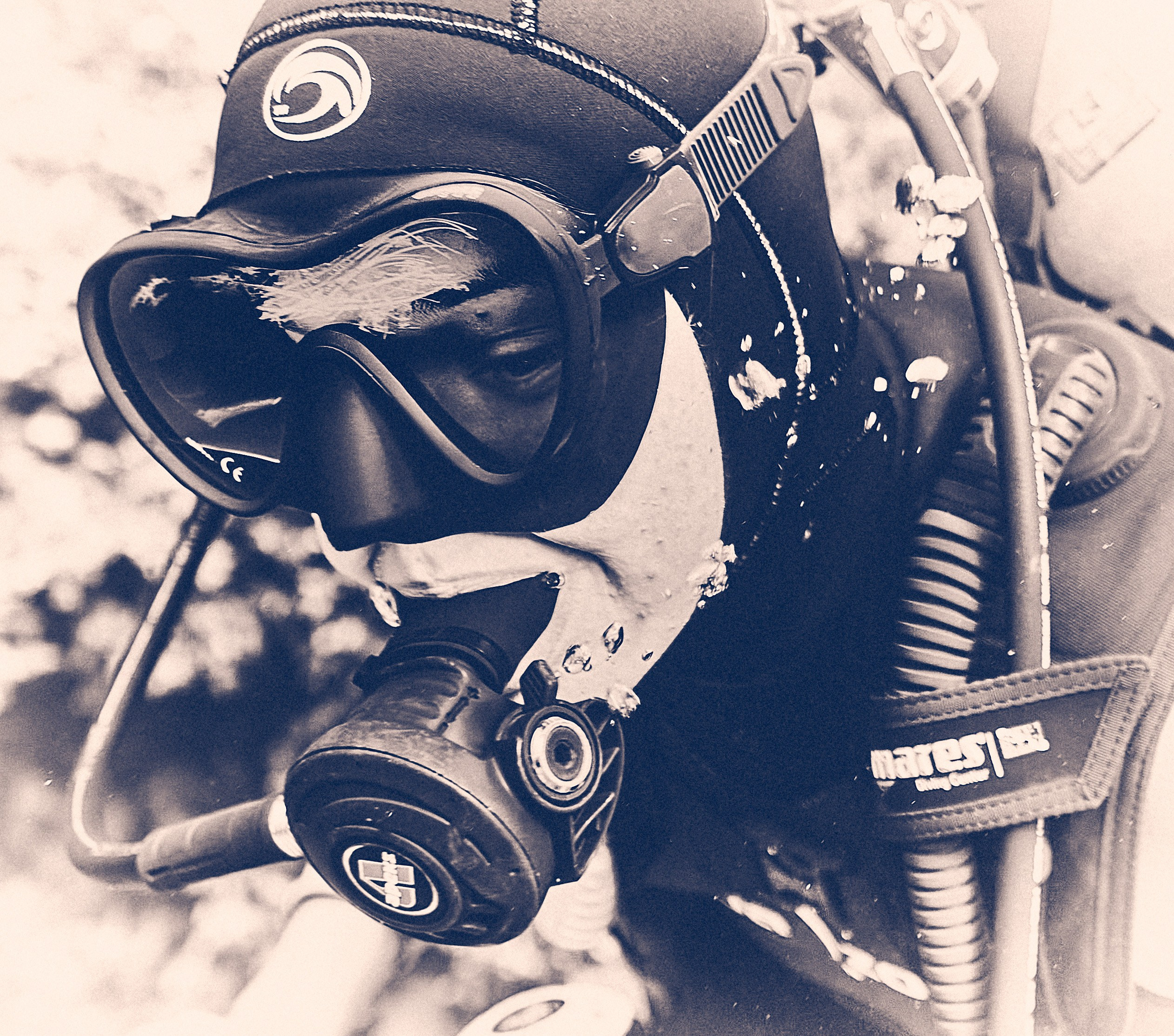 2023-11 - Diving Safari Deep South Egypt. Andriej Szypilow — Photography & Videography