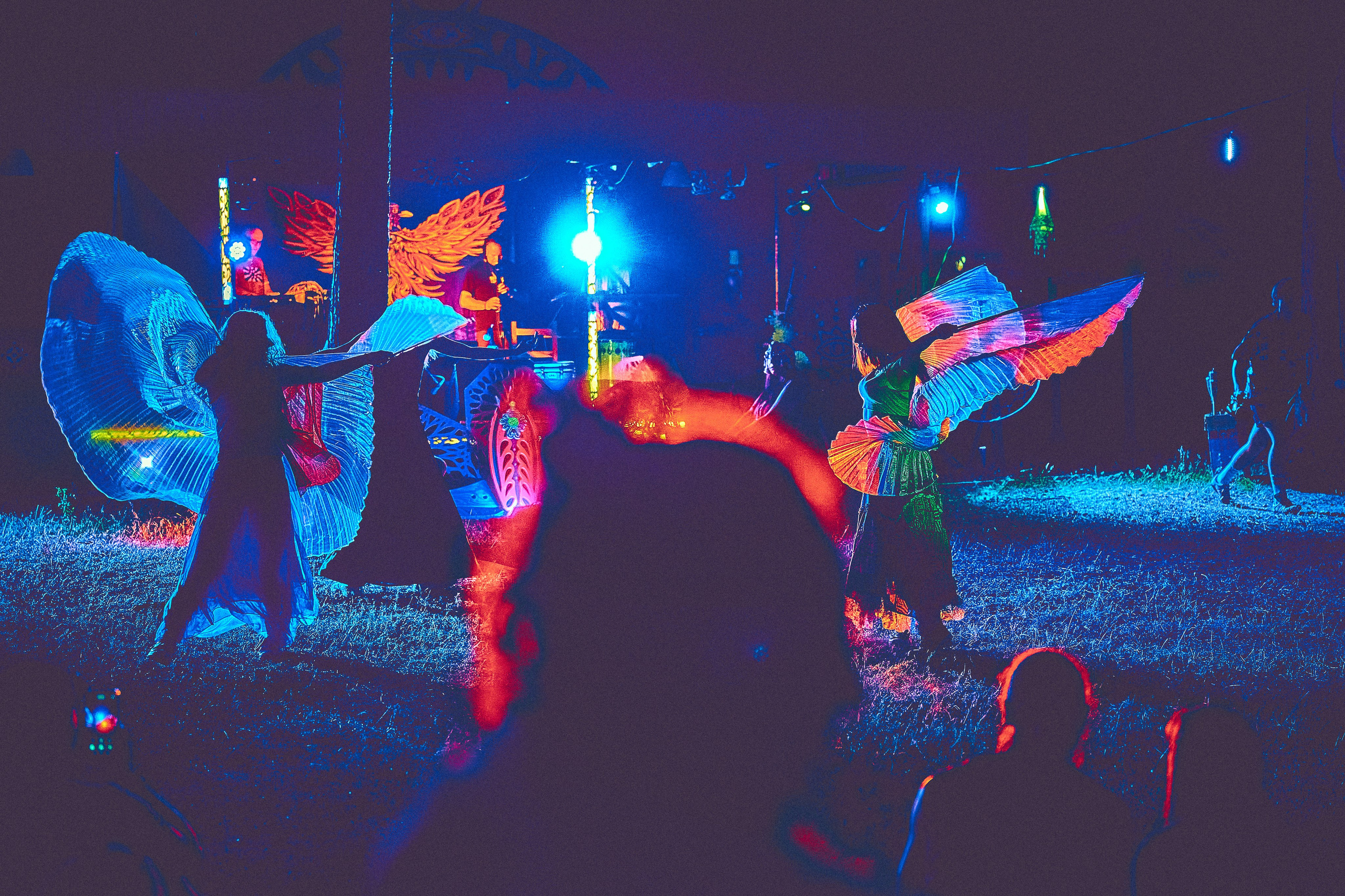 Organic-2025. Andriej Szypilow — Photography & Videography