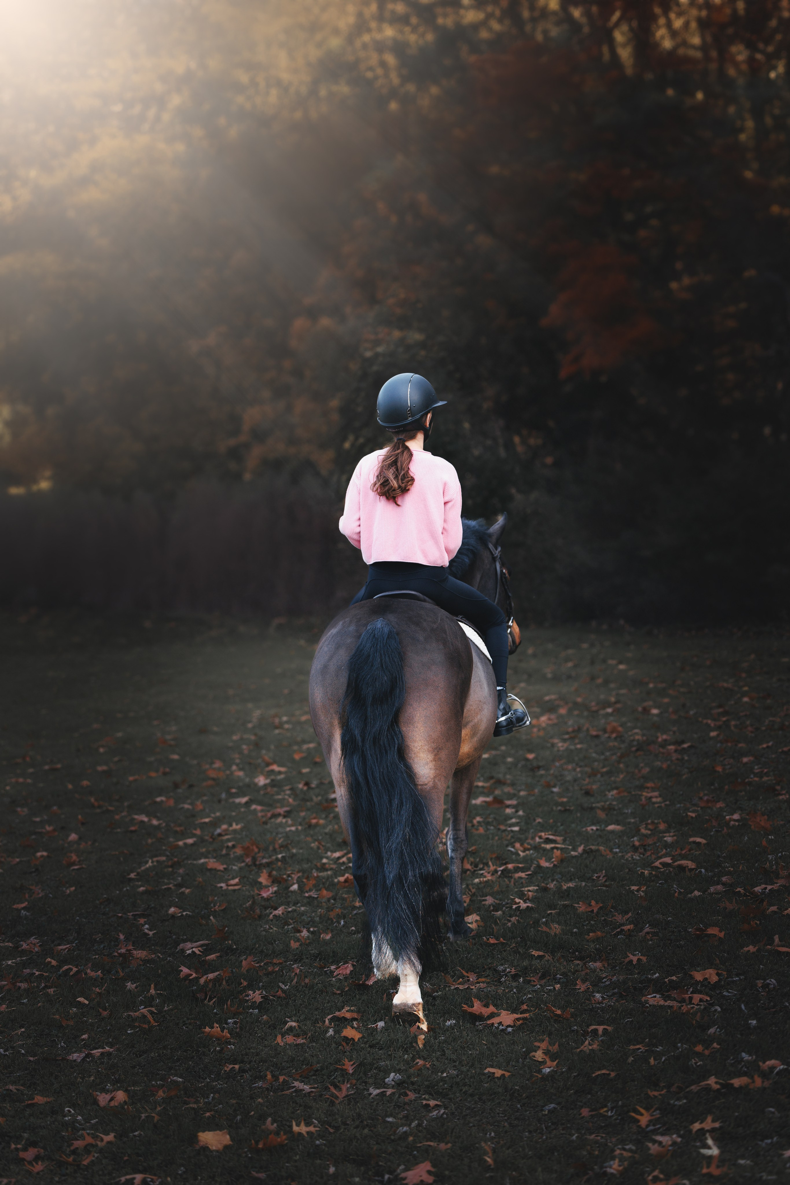 Whiskey & Ava. Pet Photographer Viktoriya Aleshenko