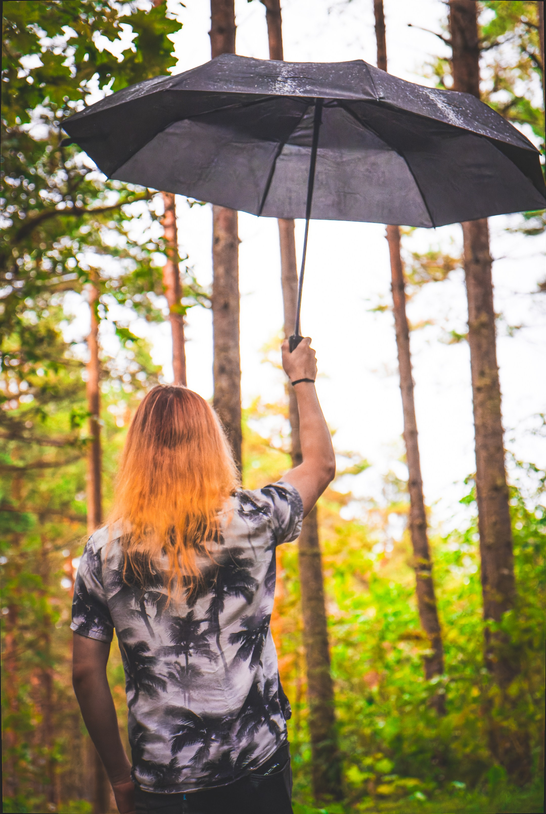 Mets, vihm ja jahedus (Dimitry). Nebula 25 — Fotod teie hingele