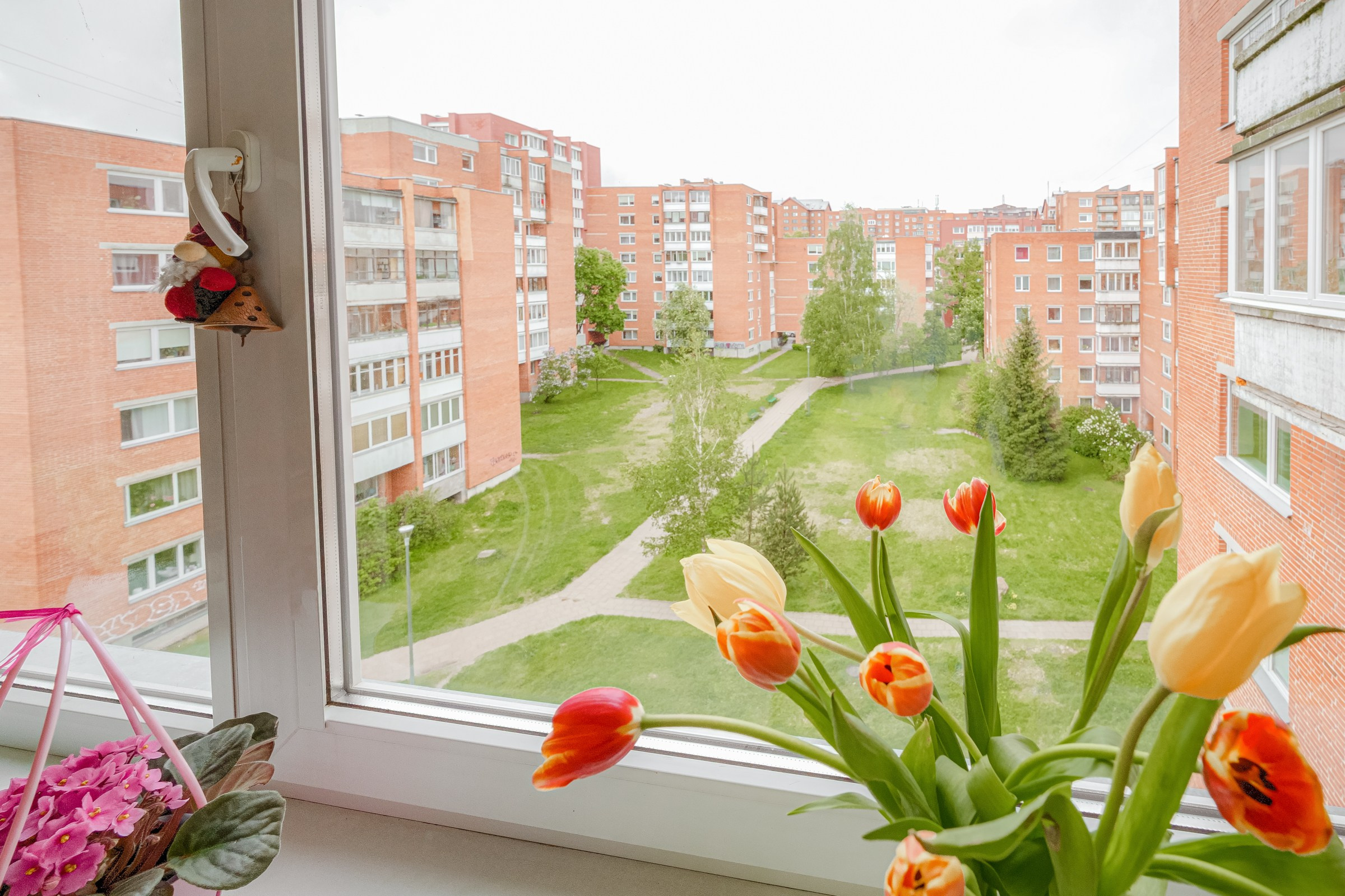 Ateities g. 1. Elina Sapiega fotografė Vilniuje