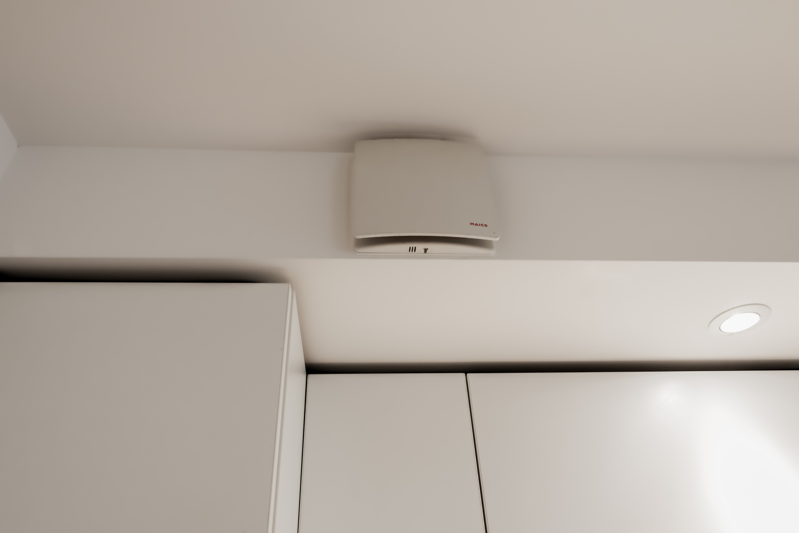 Karaliaučiaus g. 9 c, 2 k buto fotosesija. Elina Sapiega fotografė Vilniuje