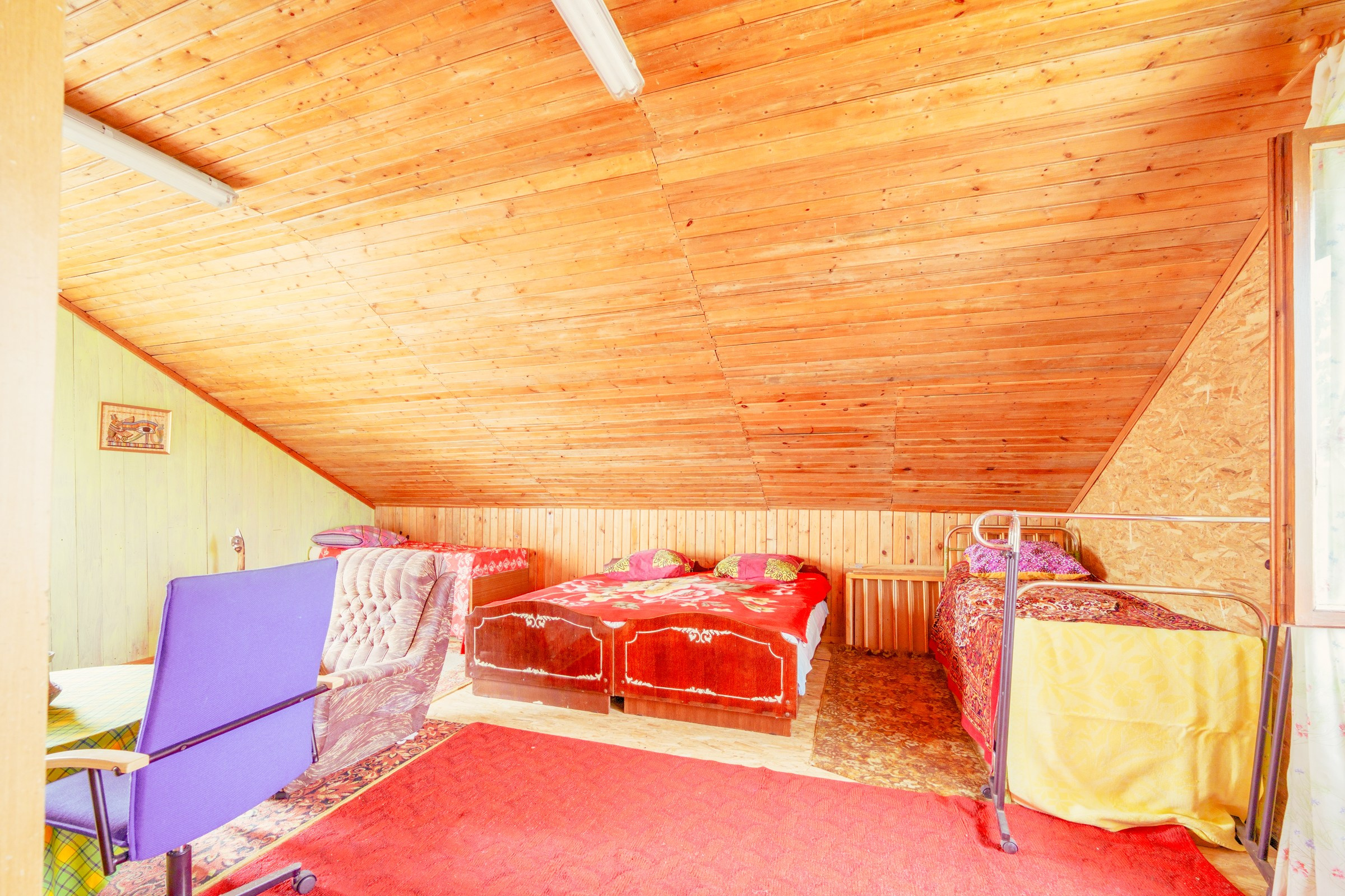 Pupojų sodų 3-oji. Elina Sapiega fotografė Vilniuje