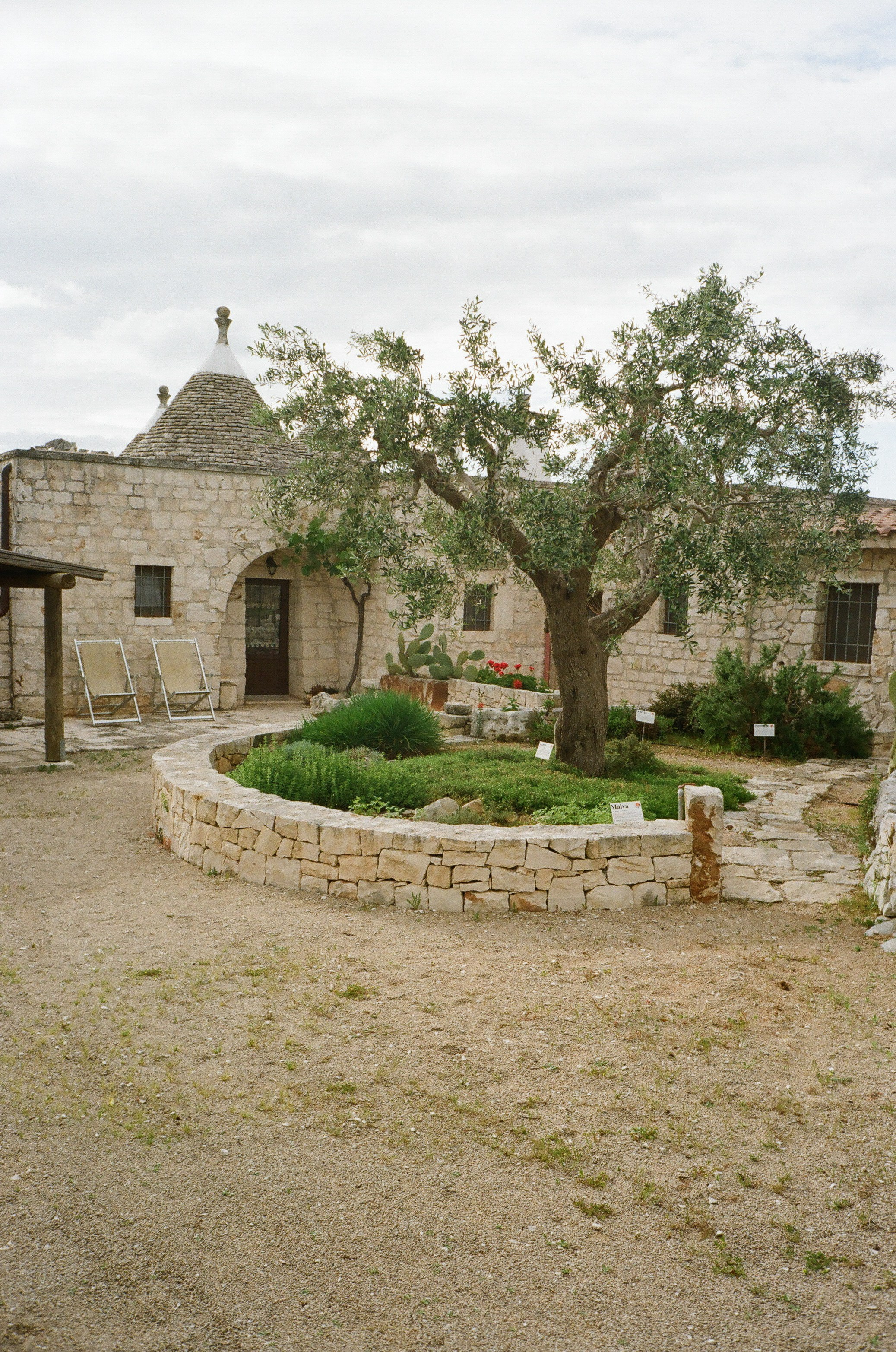 Stephanie & Christian film photos. Весільний фотограф Вікторія Саврук