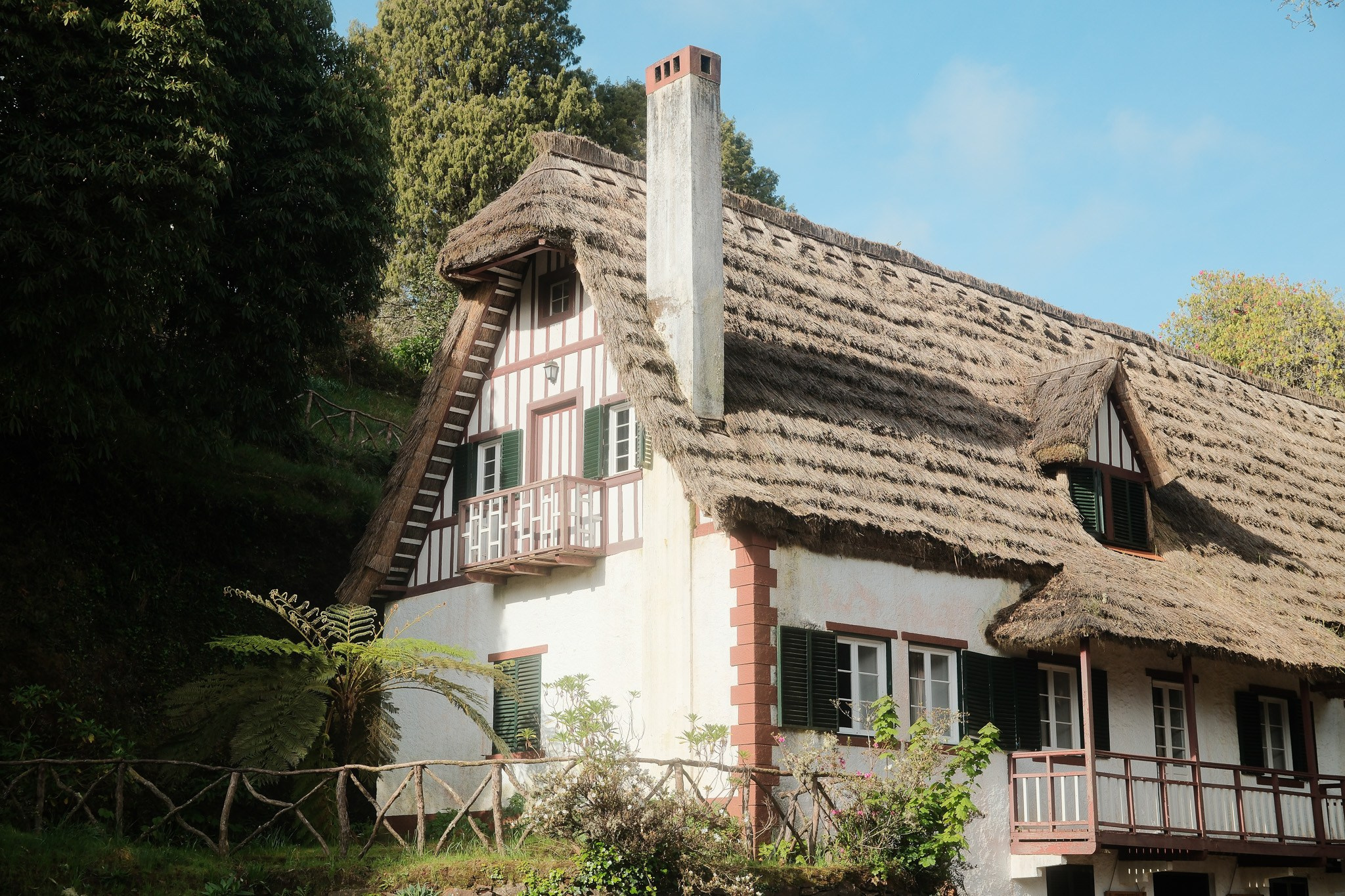 Madeira 2025. Cal Takes Photos